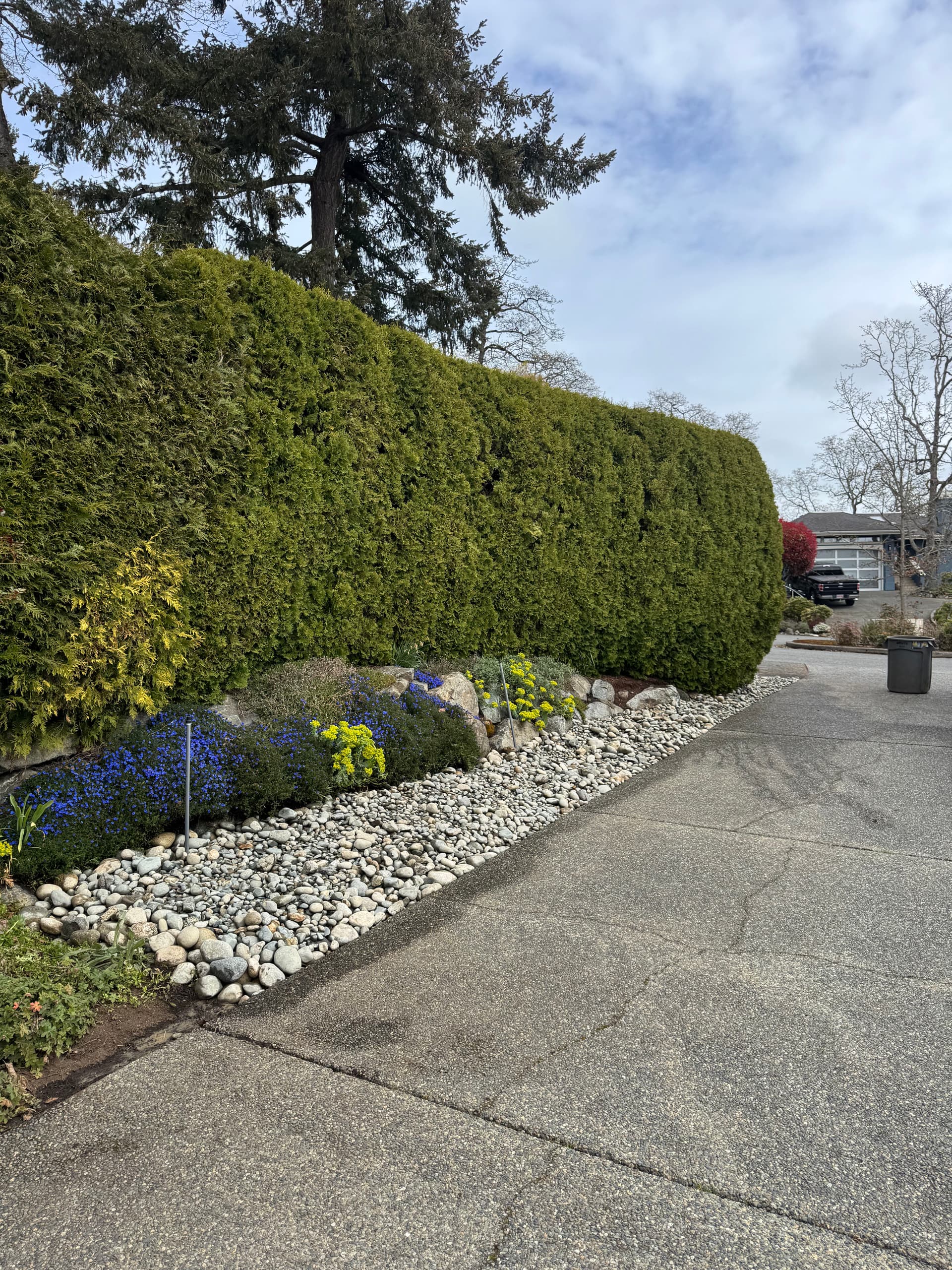 Cedar Hedge Garden Bed Gets a River Rock Refresh image