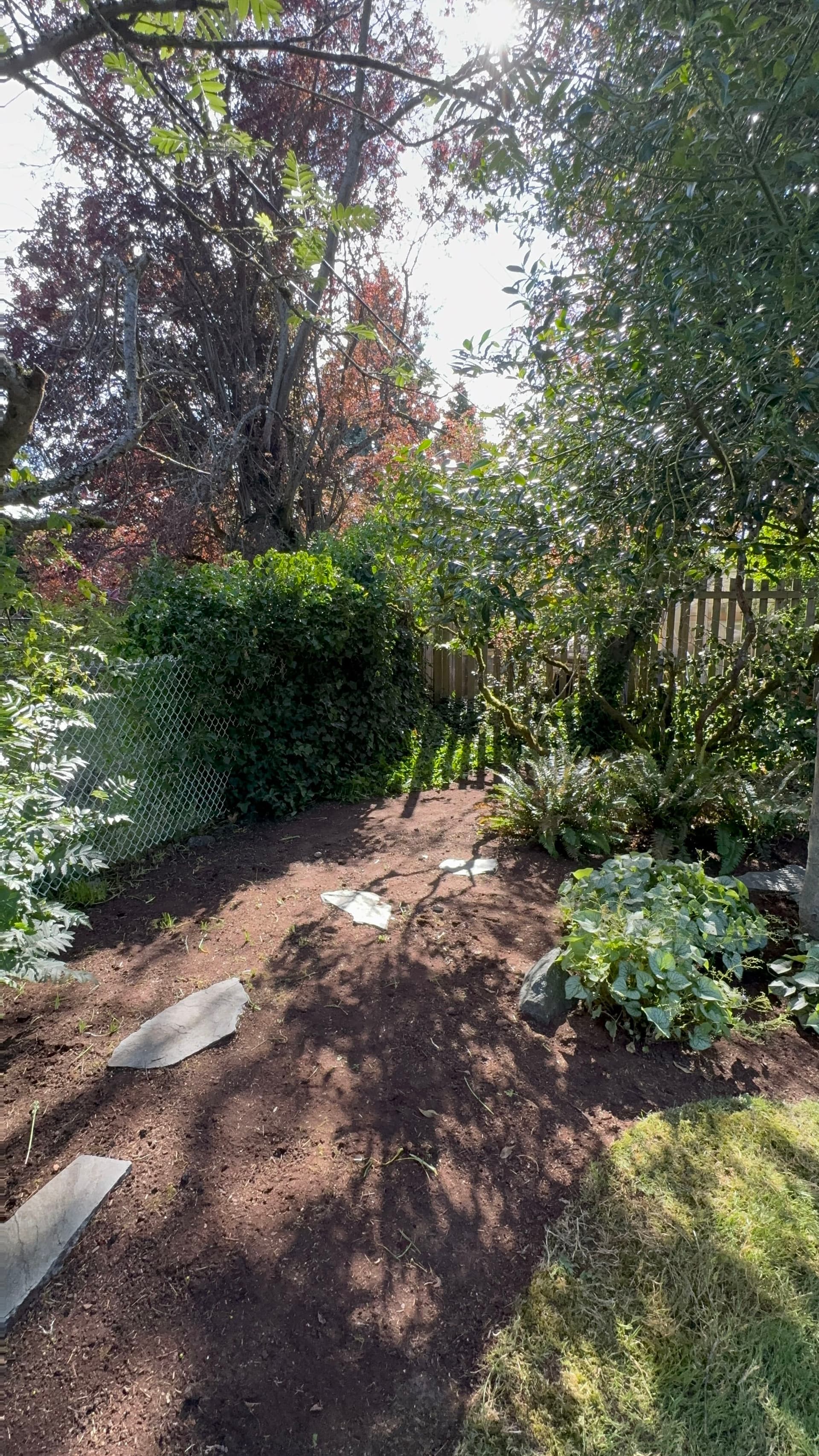 Gallery photos for Before and After Garden Bed Cleanup That Made a Real Difference: Image #1