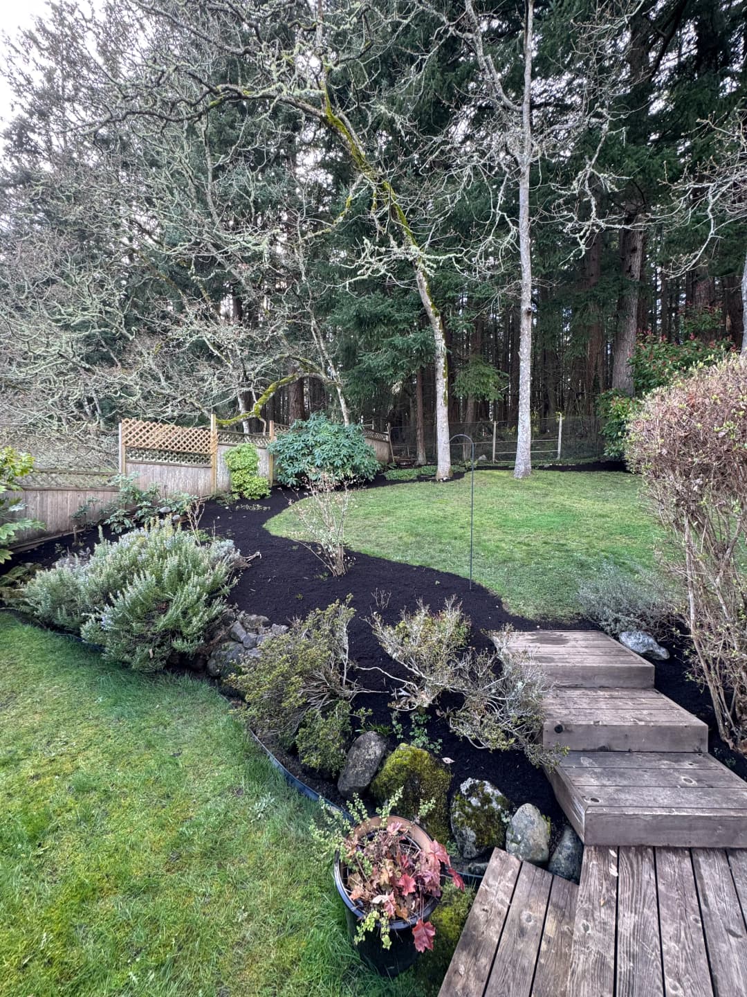 Creating a Tranquil Garden Escape | The Friendly Gardener