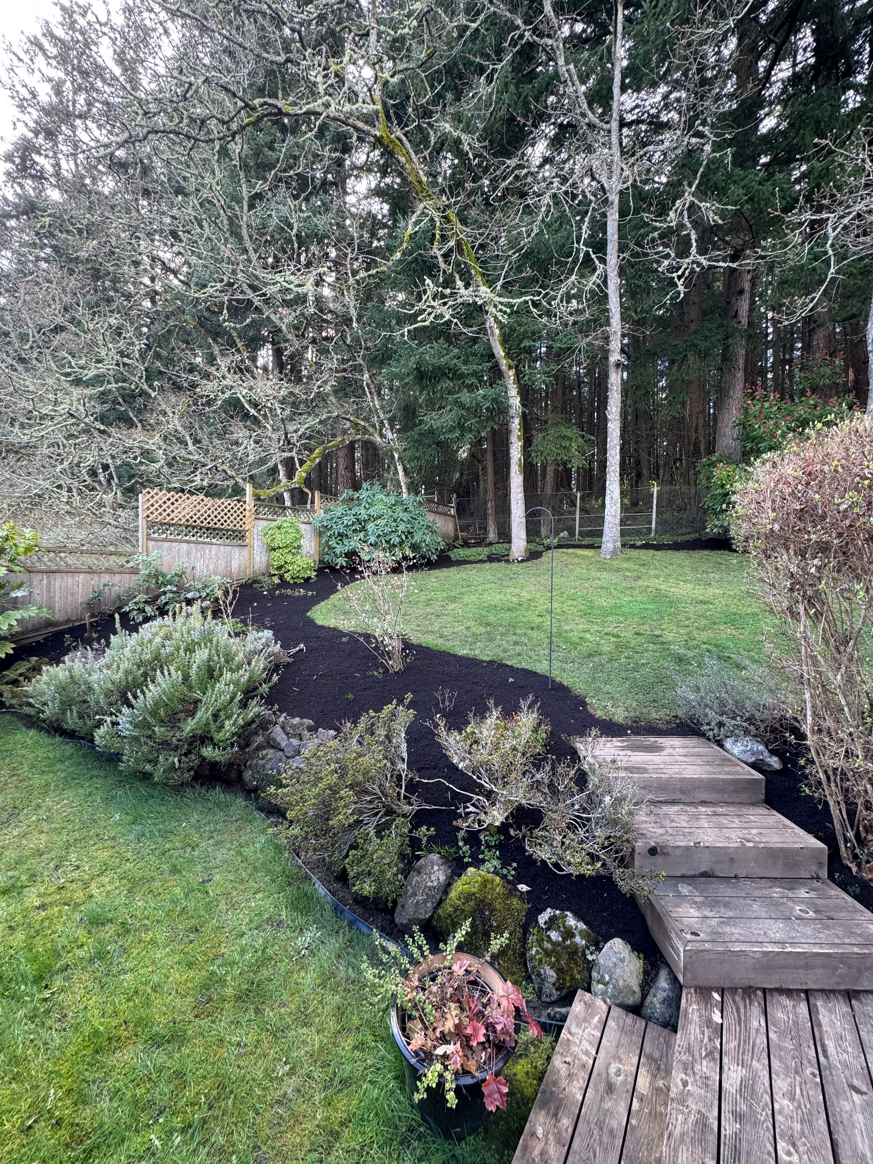 Project Creating a Tranquil Garden Escape image