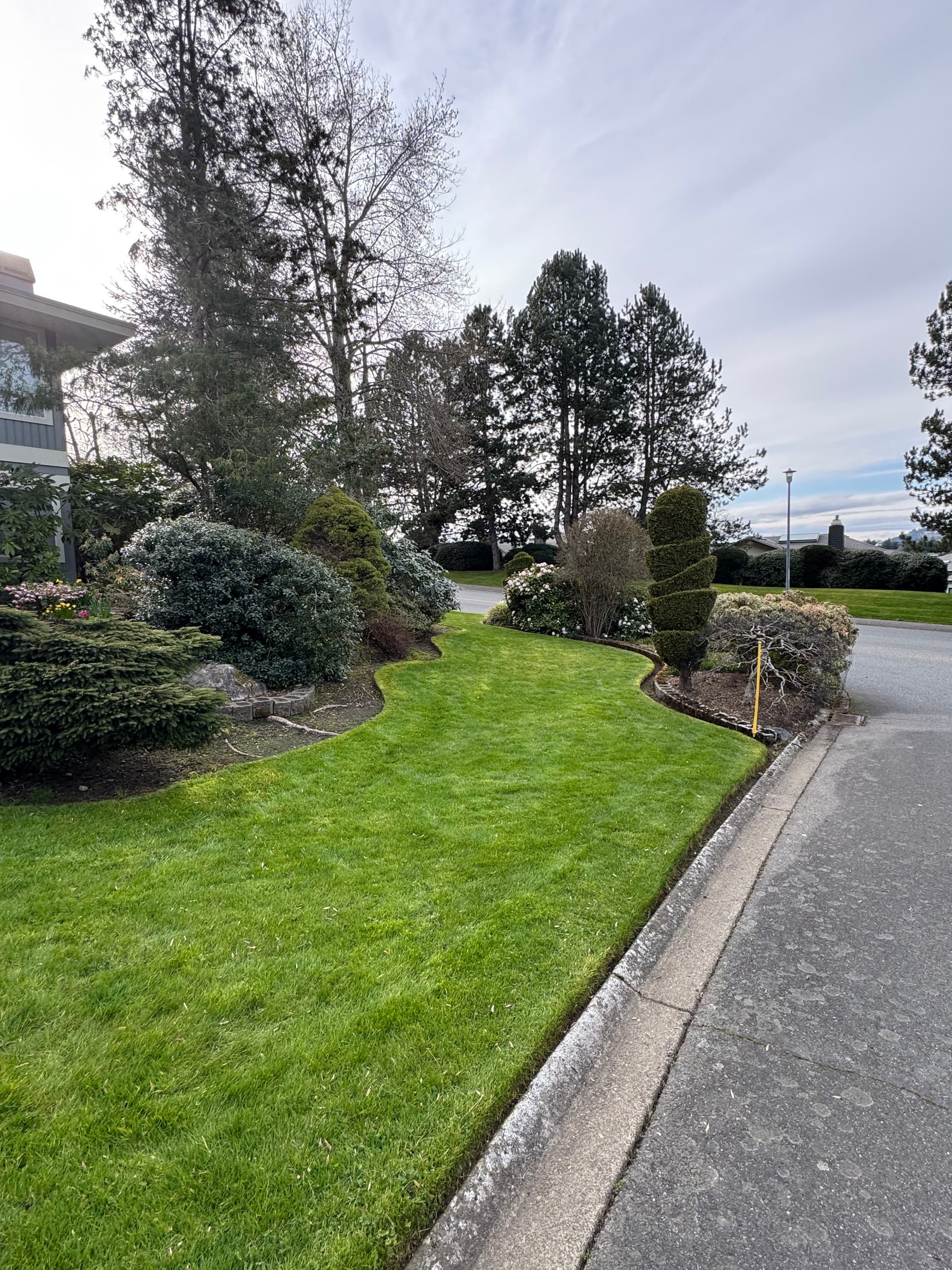 Keeping a Long-Term Client's Landscape Looking Its Best image