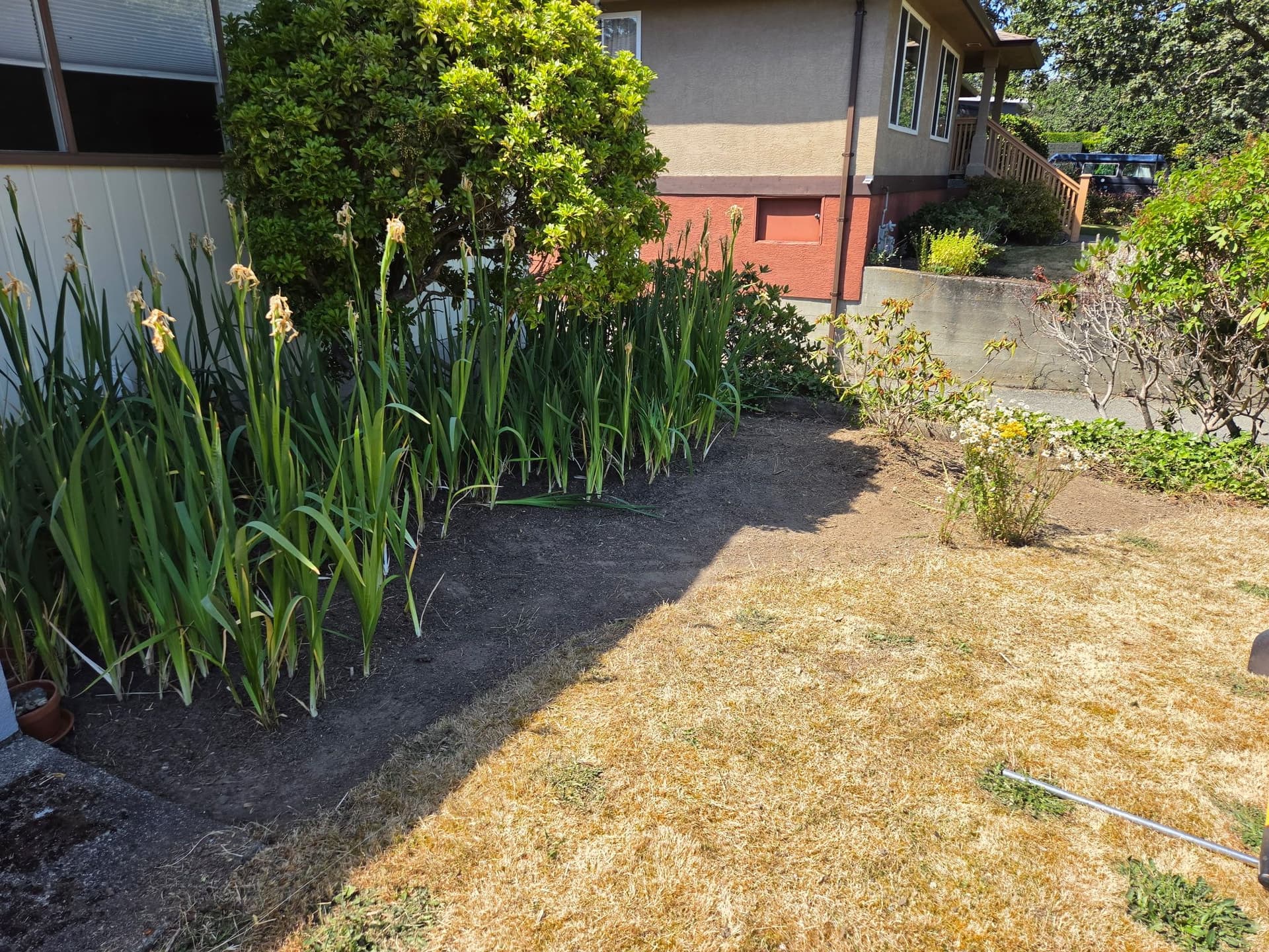 Garden Bed Cleanup That Actually Gives Your Plants Room to Breathe image