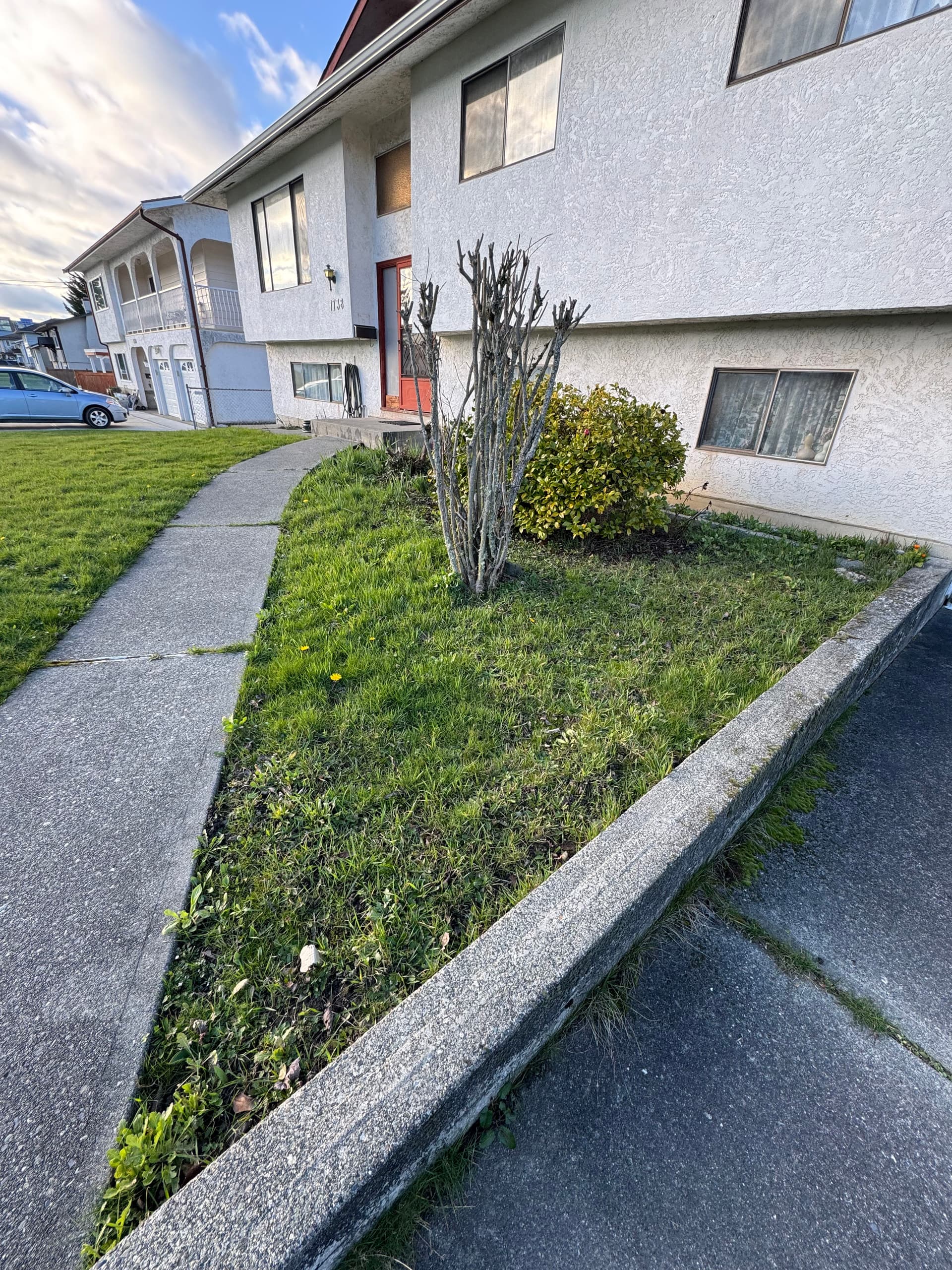 Gallery photos for Front Garden Reset with Fresh soil and New seed: Image #1