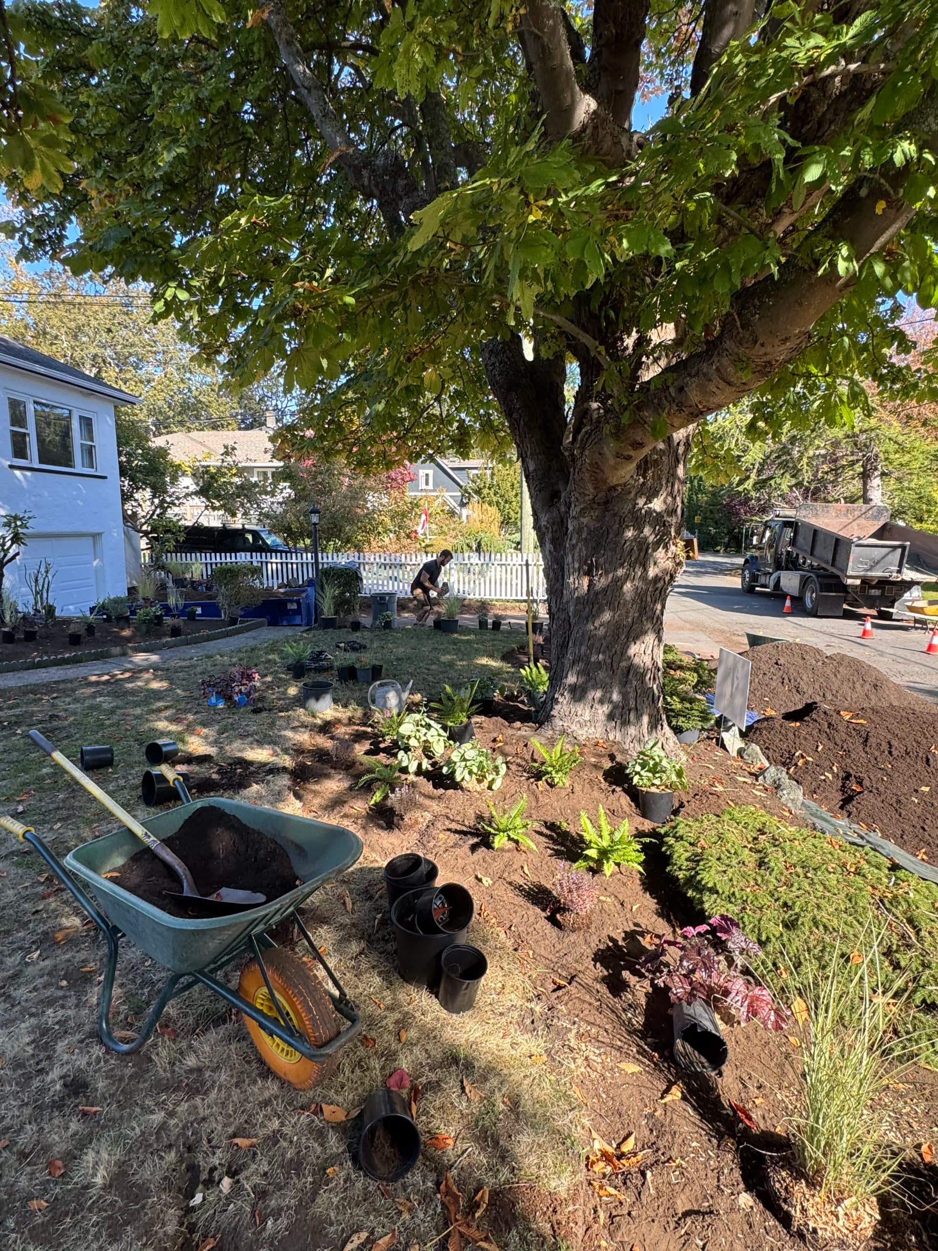 Gallery photos for Fresh Mulch and New Plantings Give This Front Yard New Life: Image #2