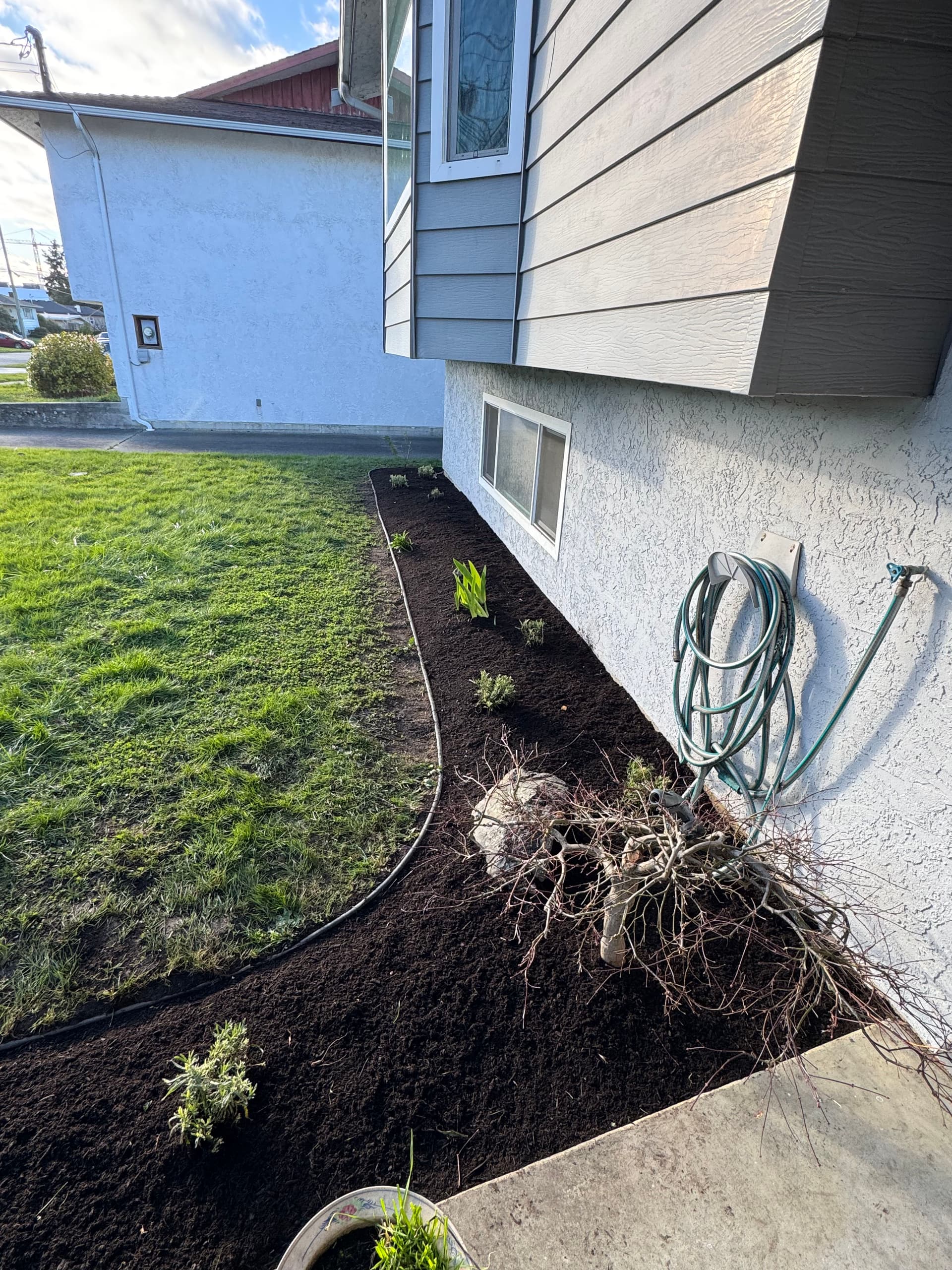 Gallery photos for From Overgrown to Stunning Garden Oasis: Image #1