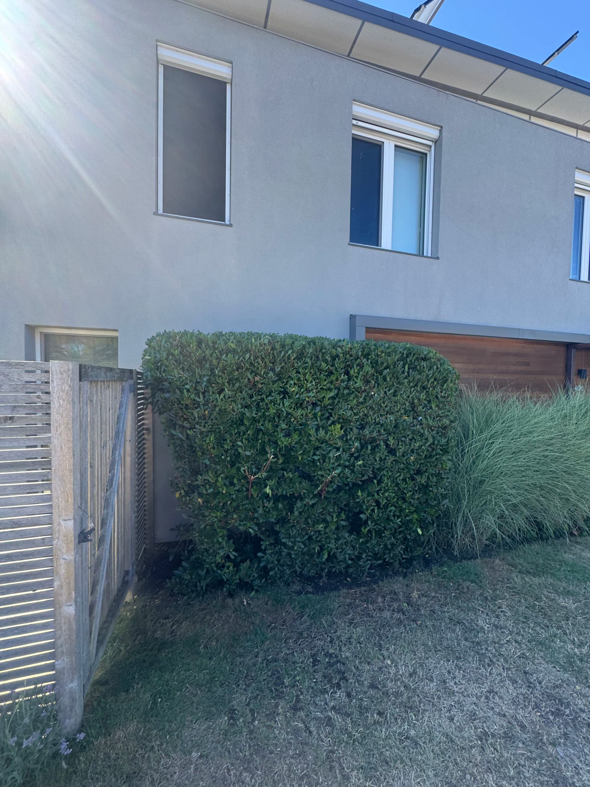 Sharp Hedge Trim That Makes a Property Look Cared For