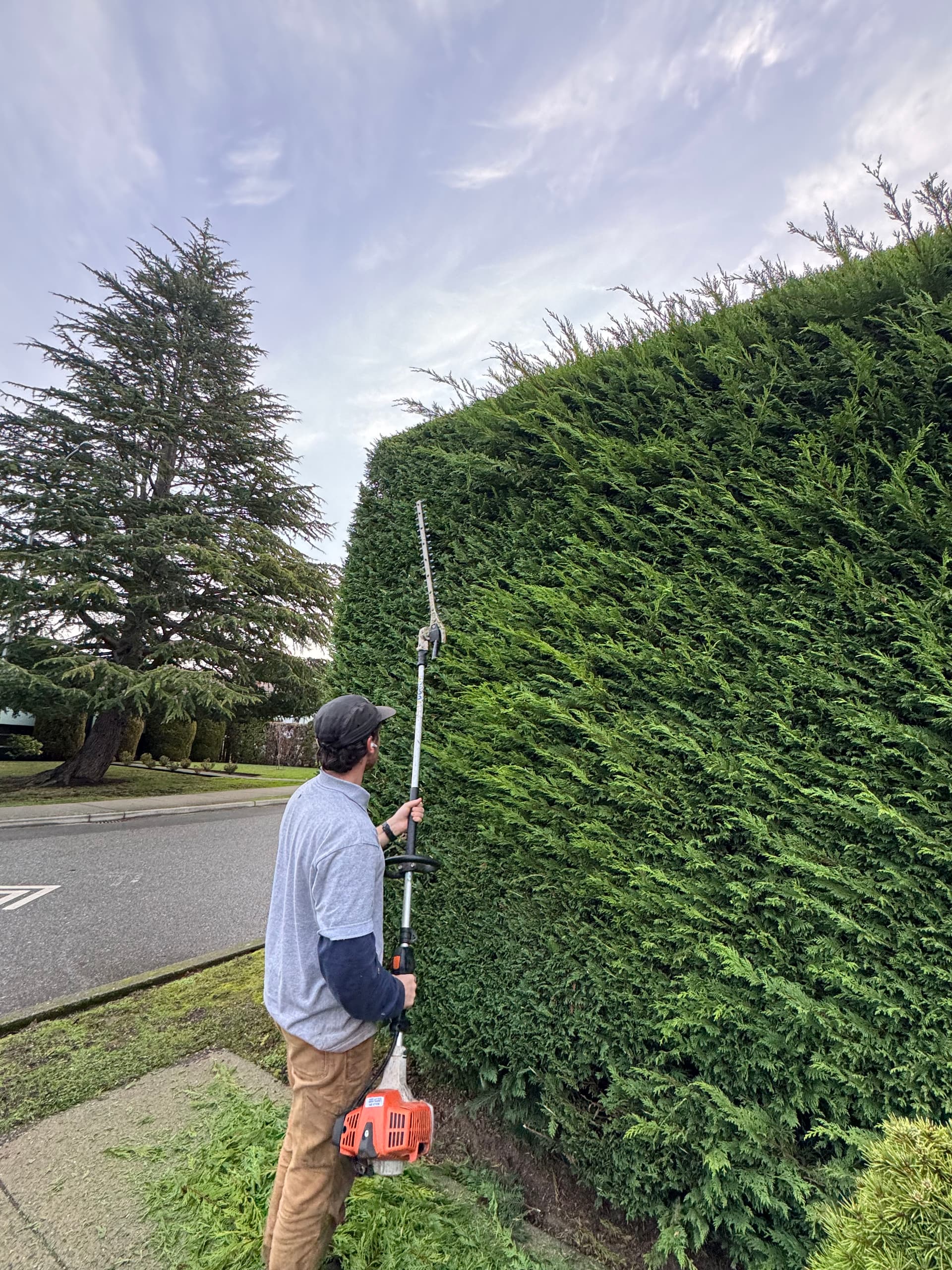 Gallery photos for Hedge Mastery in Action with Jesse: Image #1