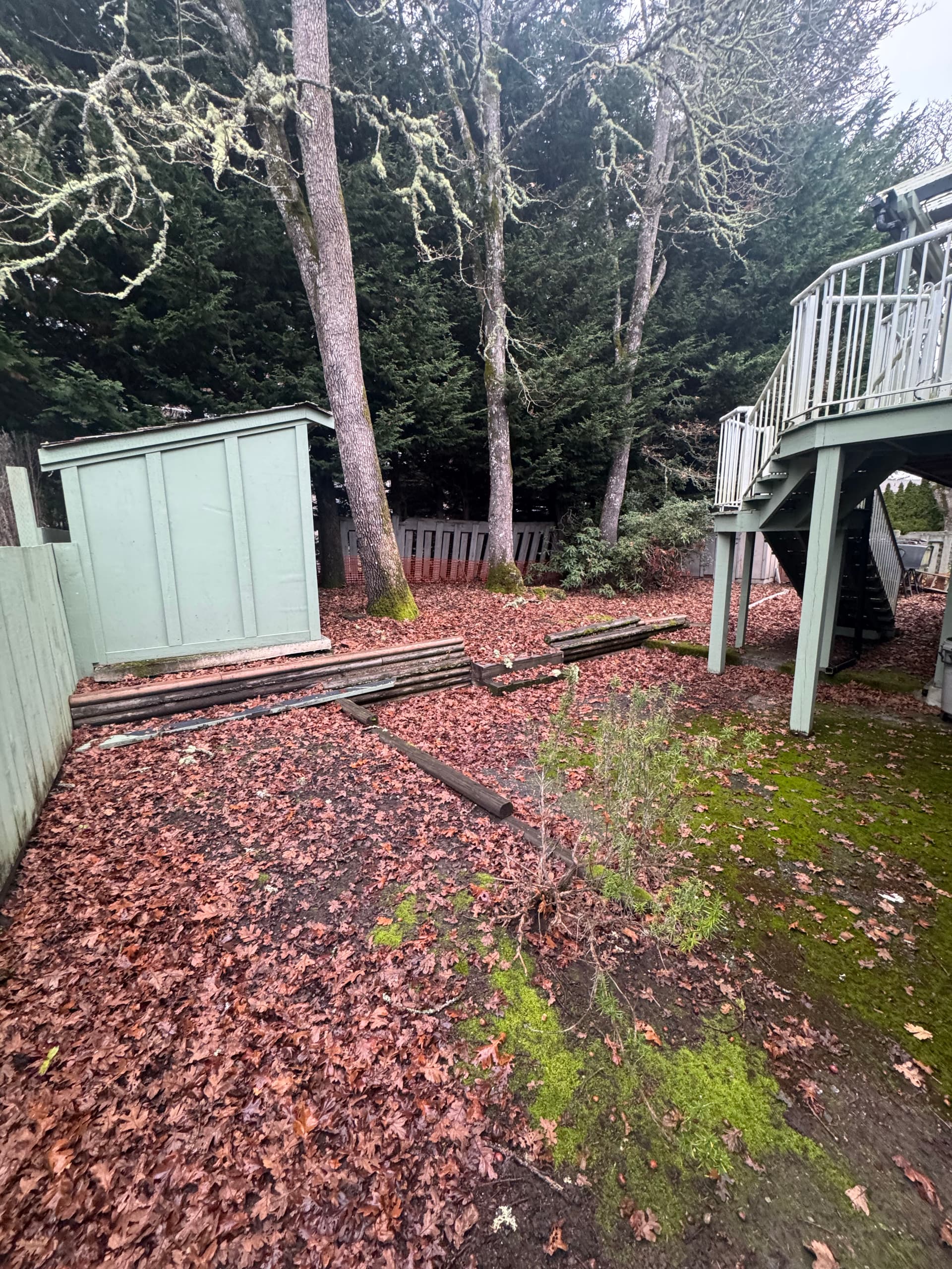 Gallery photos for Leaf Cleanup in a Serene Backyard: Image #1