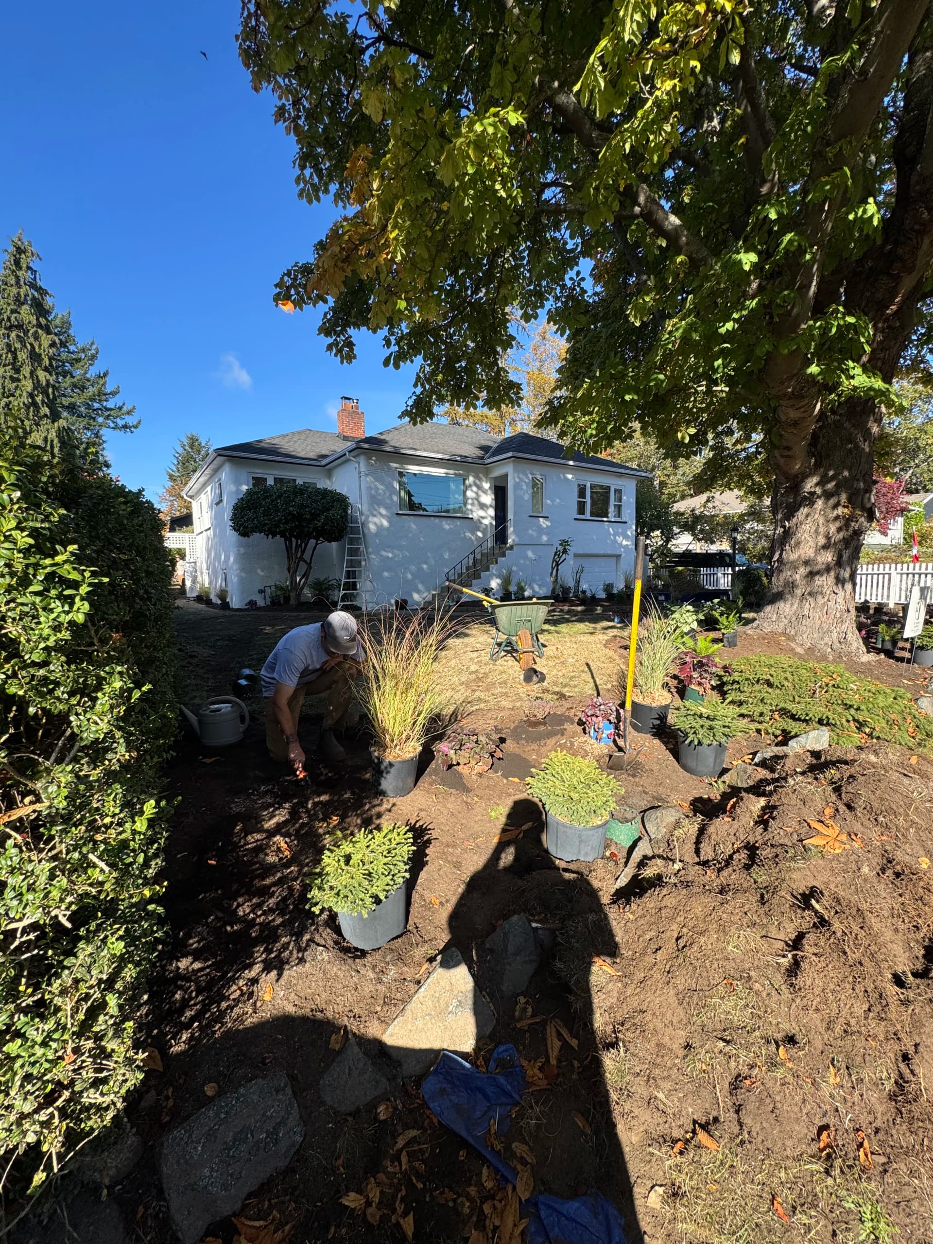 Gallery photos for Fresh Mulch and New Plantings Give This Front Yard New Life: Image #1