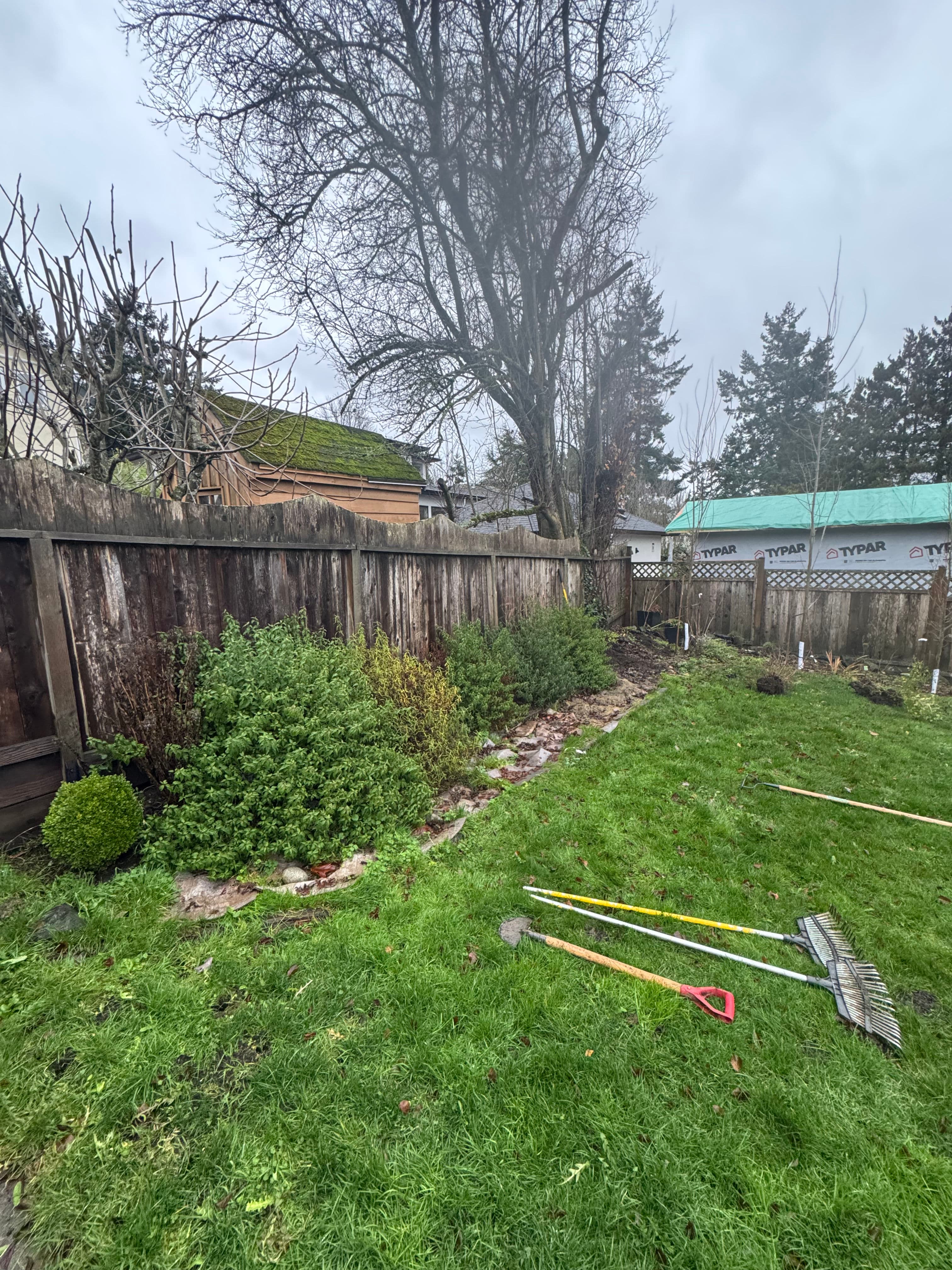 Project Garden Refresh with Portuguese Laurel Hedge Installation image
