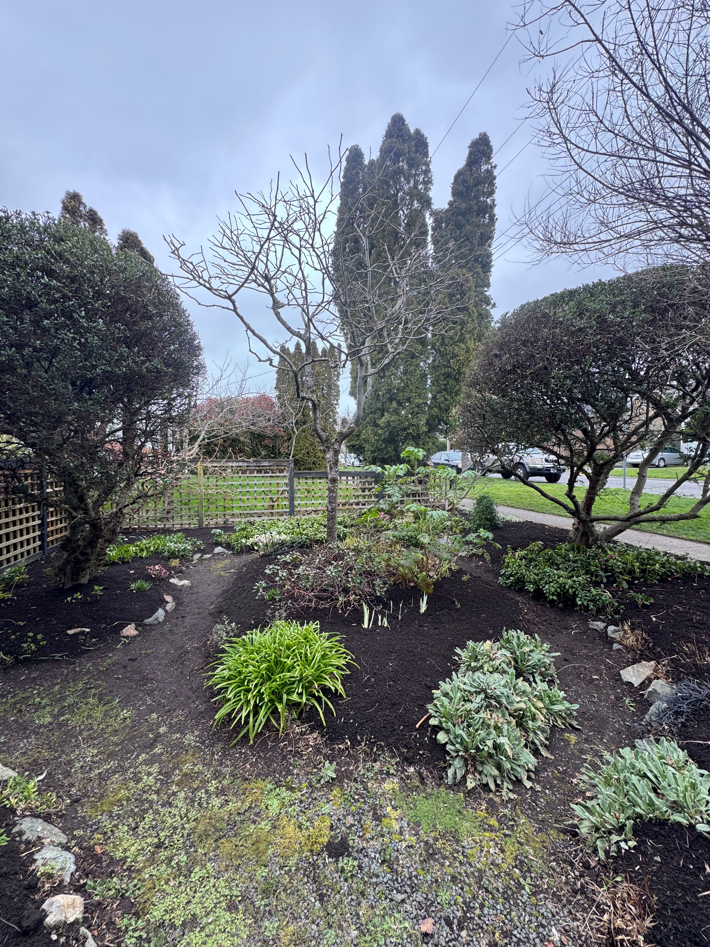 Project Enhancing Garden Beauty with Mulch and Maintenance image