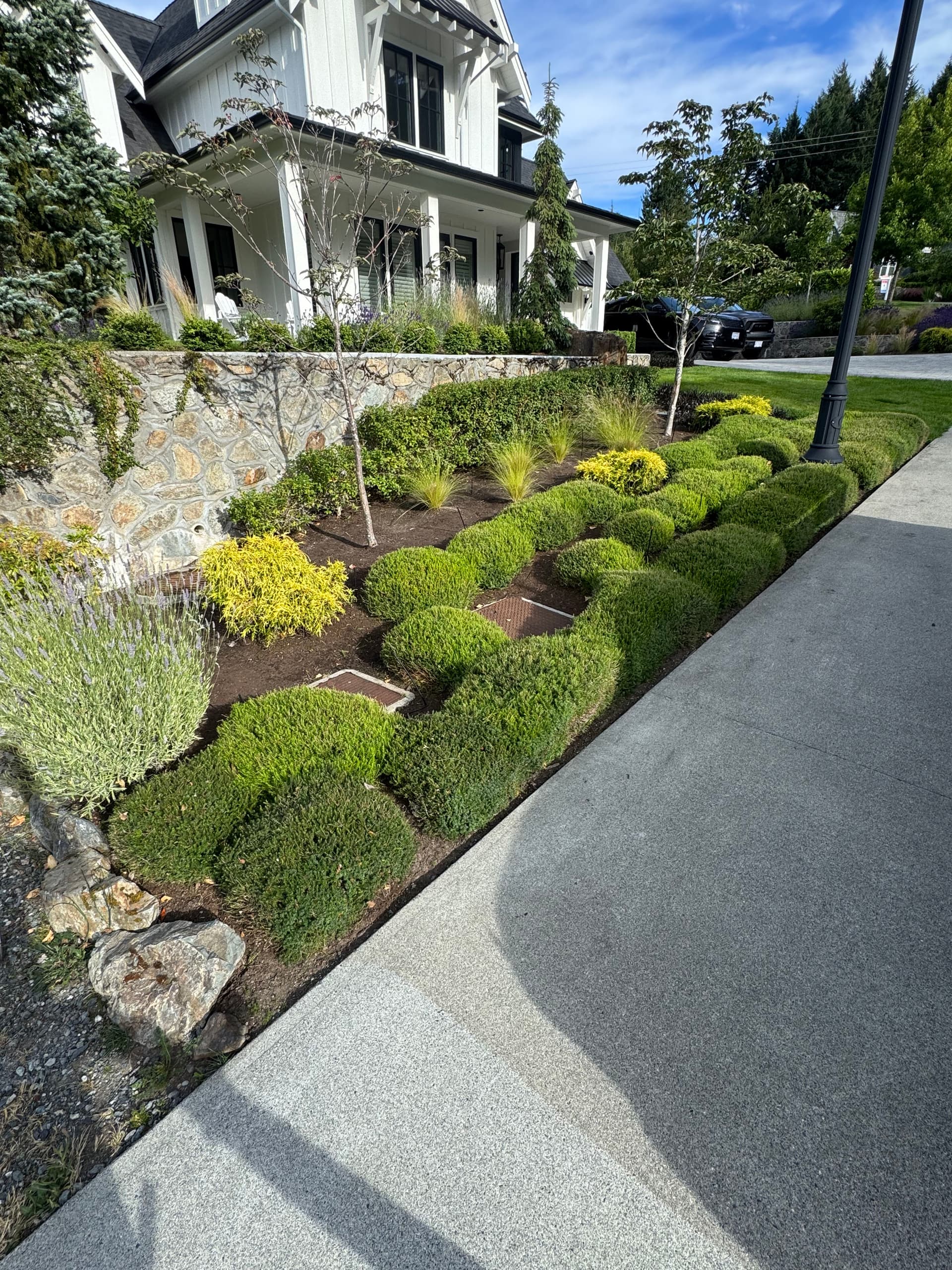 Gallery photos for Heather Pruning That Makes the Whole Yard Look Sharp: Image #2