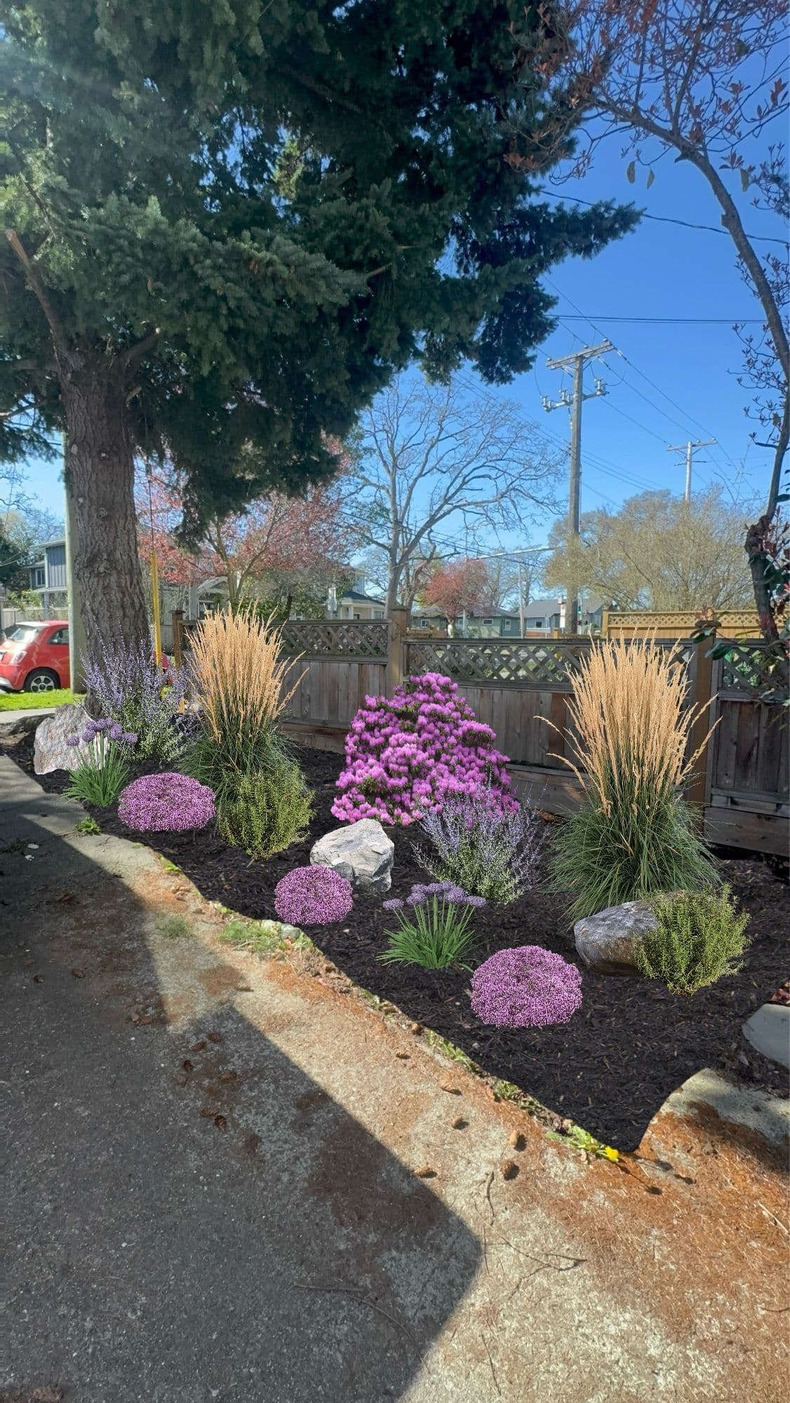 Front Yard Garden Installation That Actually Fits the Space
