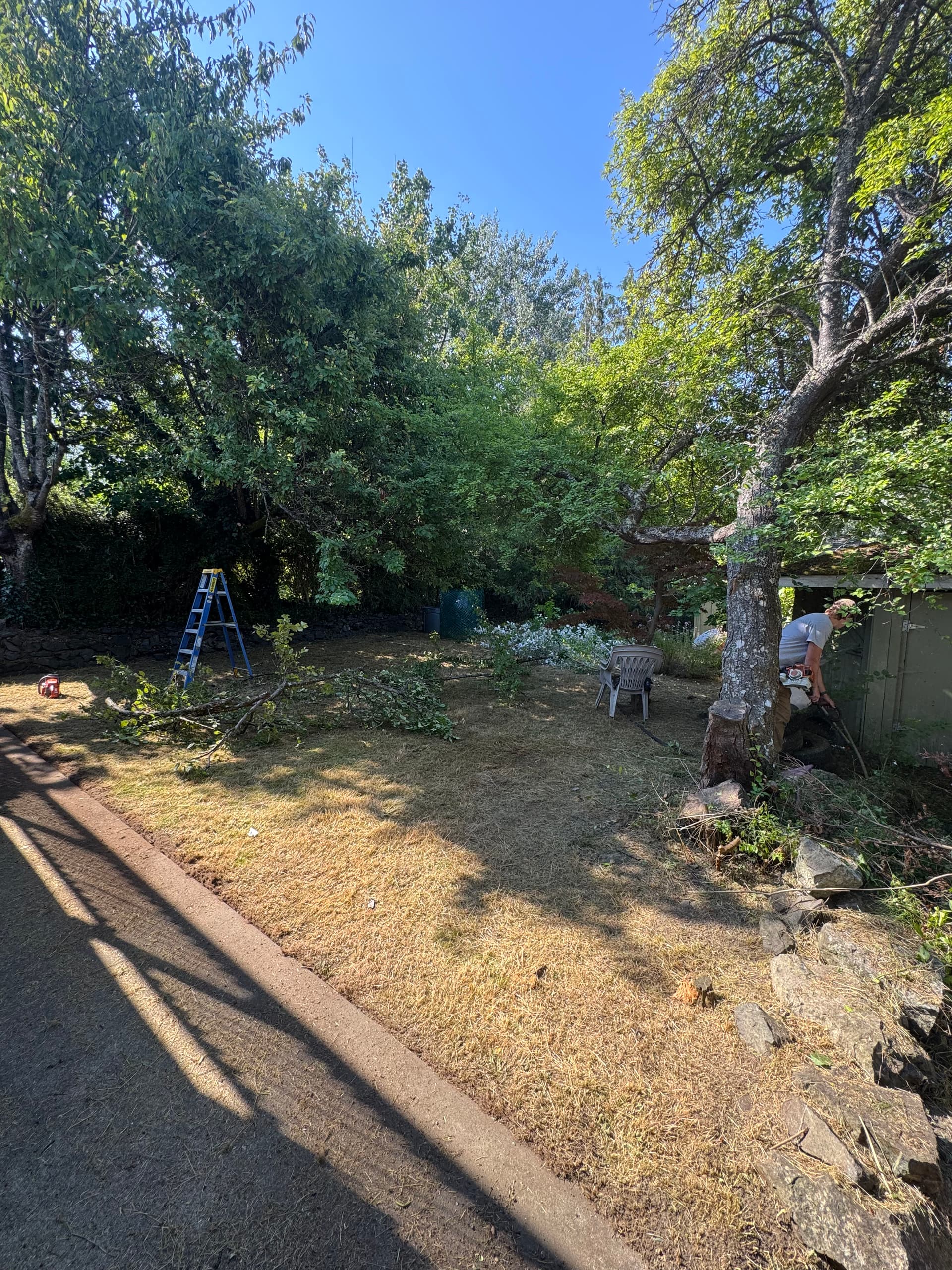 Gallery photos for Victoria Backyard Cleanup That Gave a Family Their Space Back: Image #1