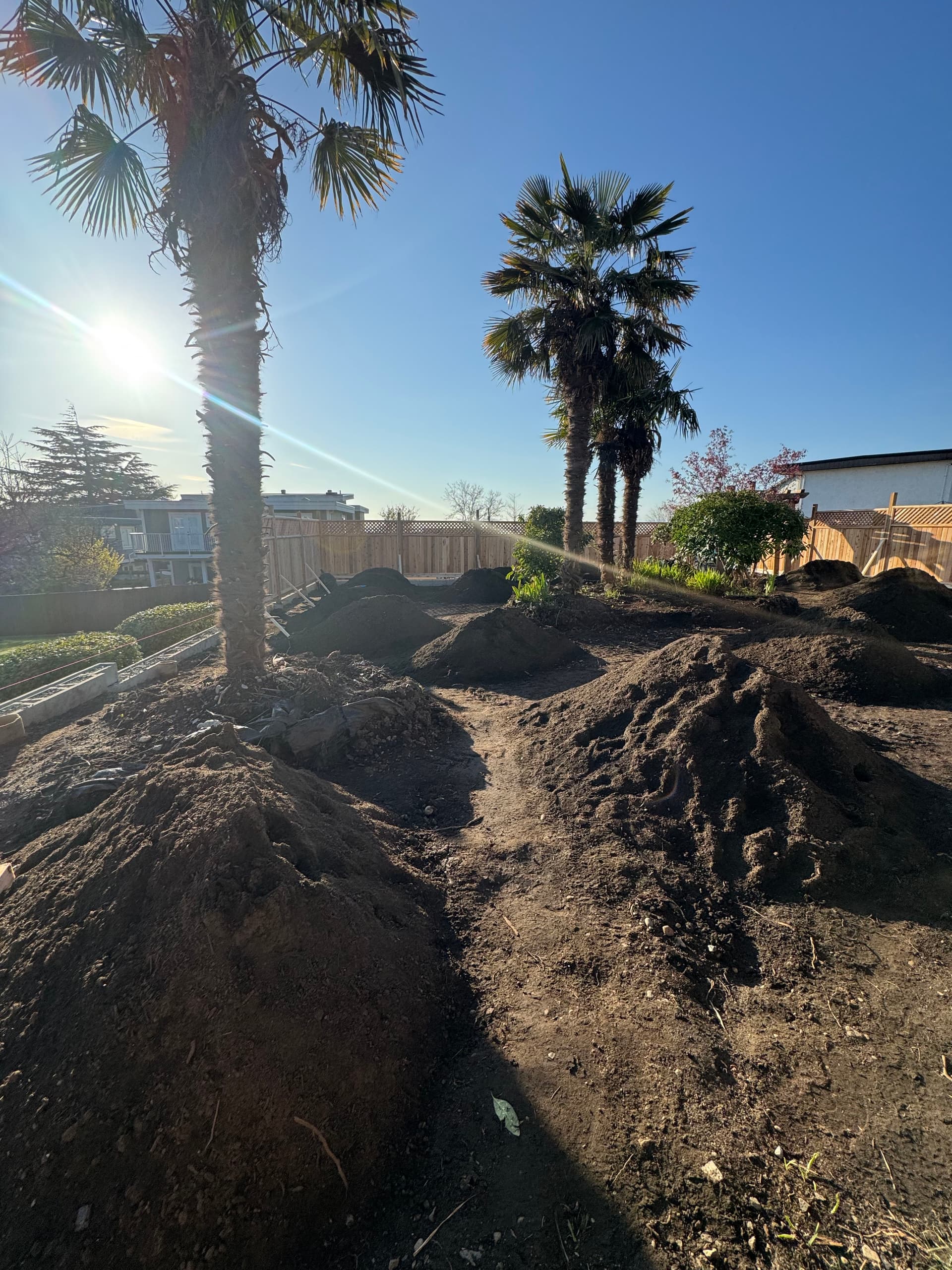 New Lawn Installation in a Canadian Backyard Paradise image