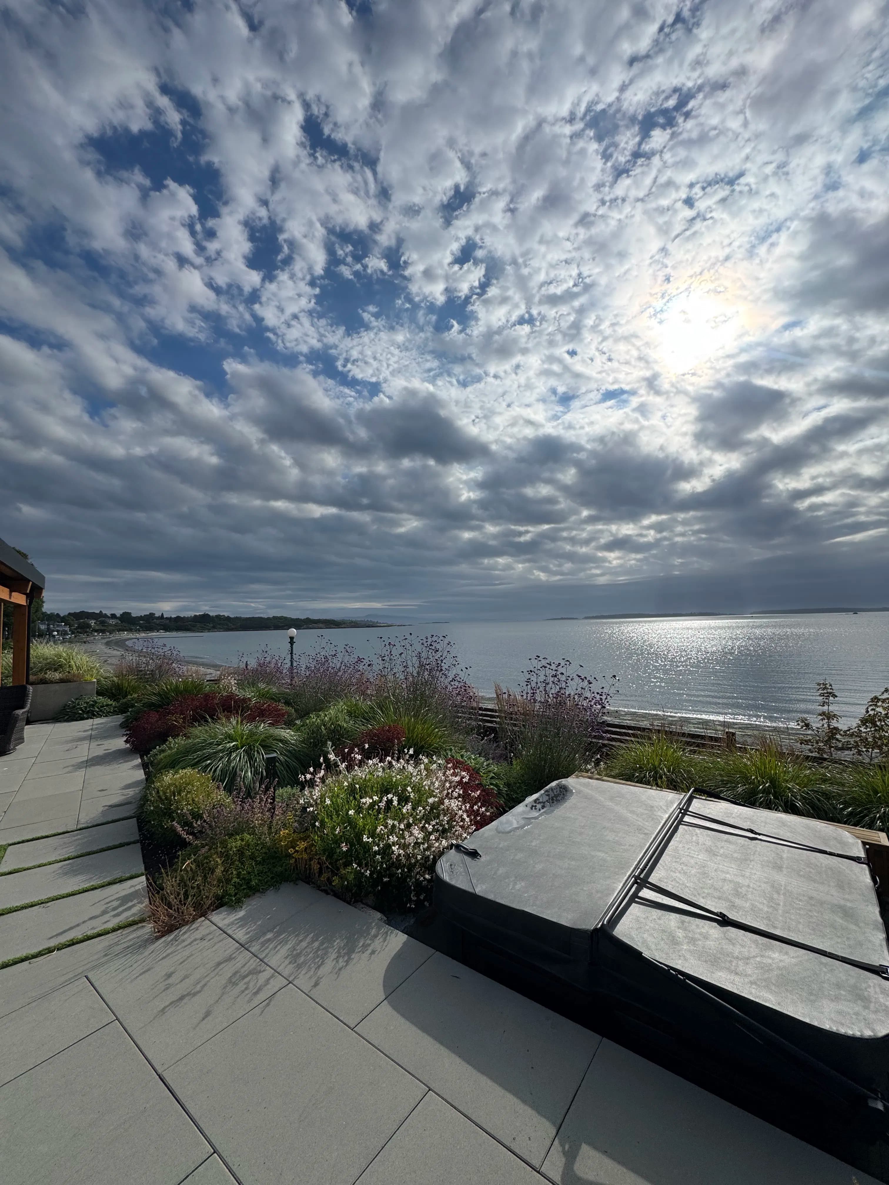 Project When a Garden Grows Into Its Full Potential image