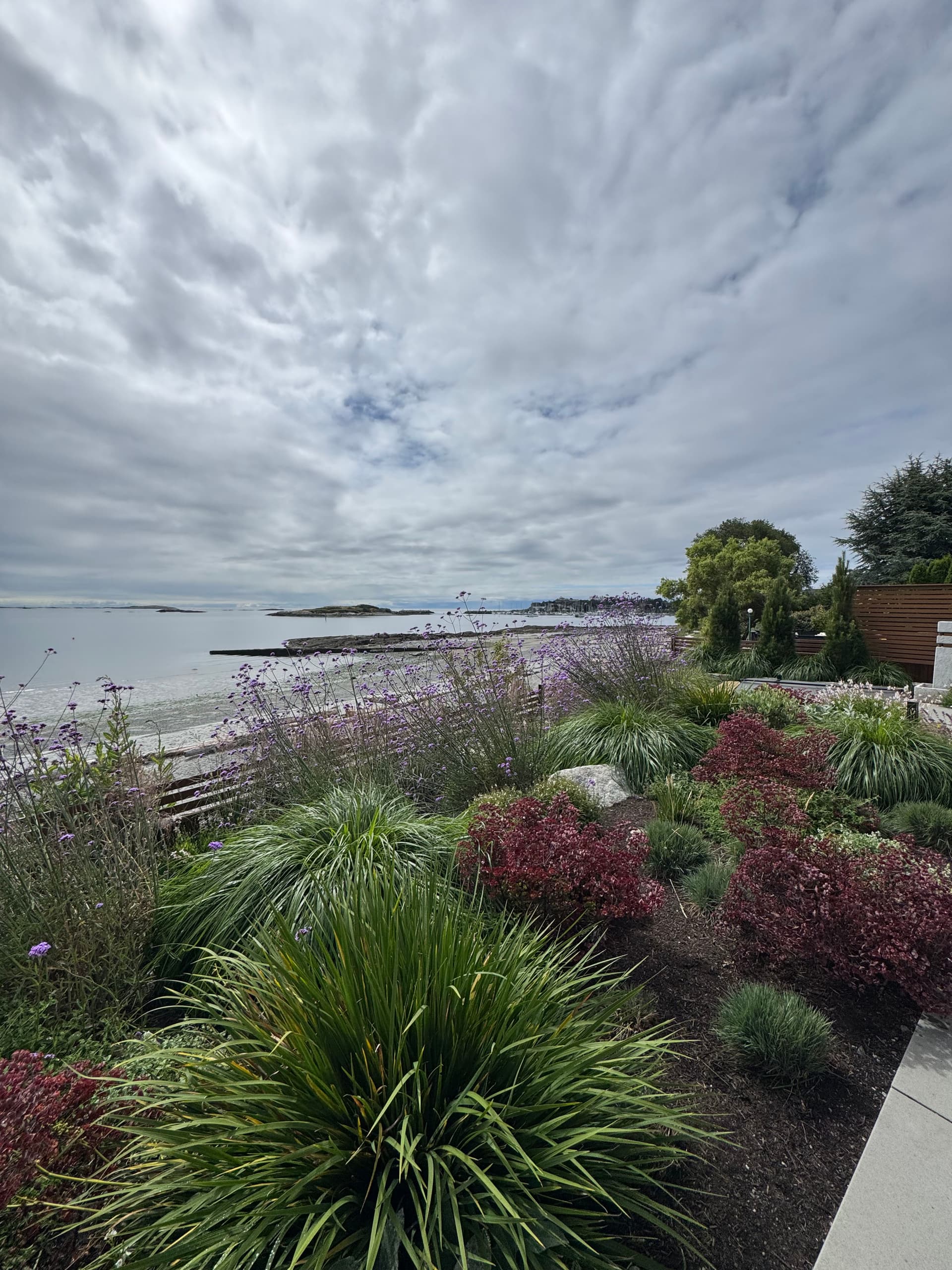 Coastal Garden Planting With a View Worth Working For image
