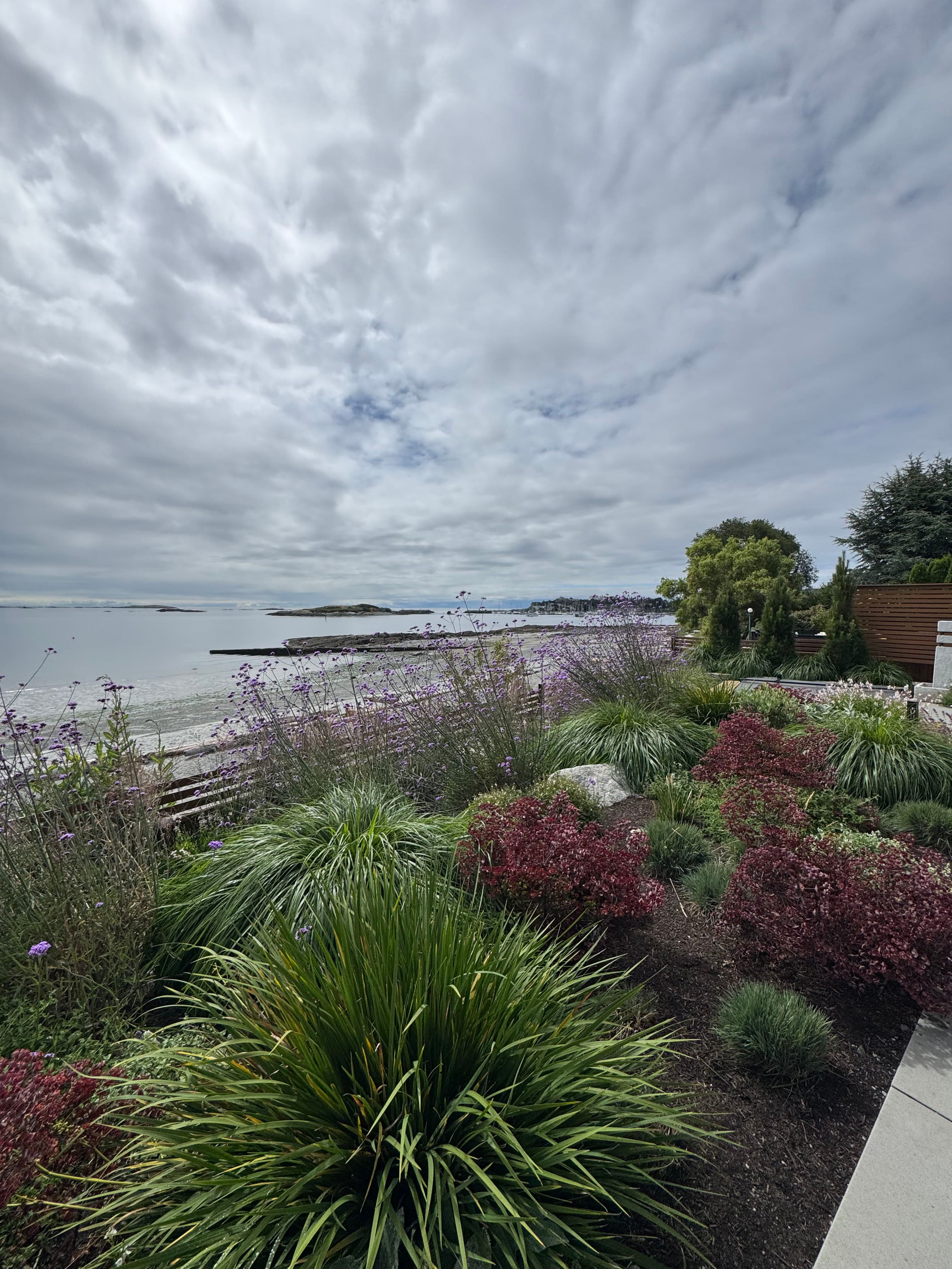 Project Coastal Garden Planting With a View Worth Working For image
