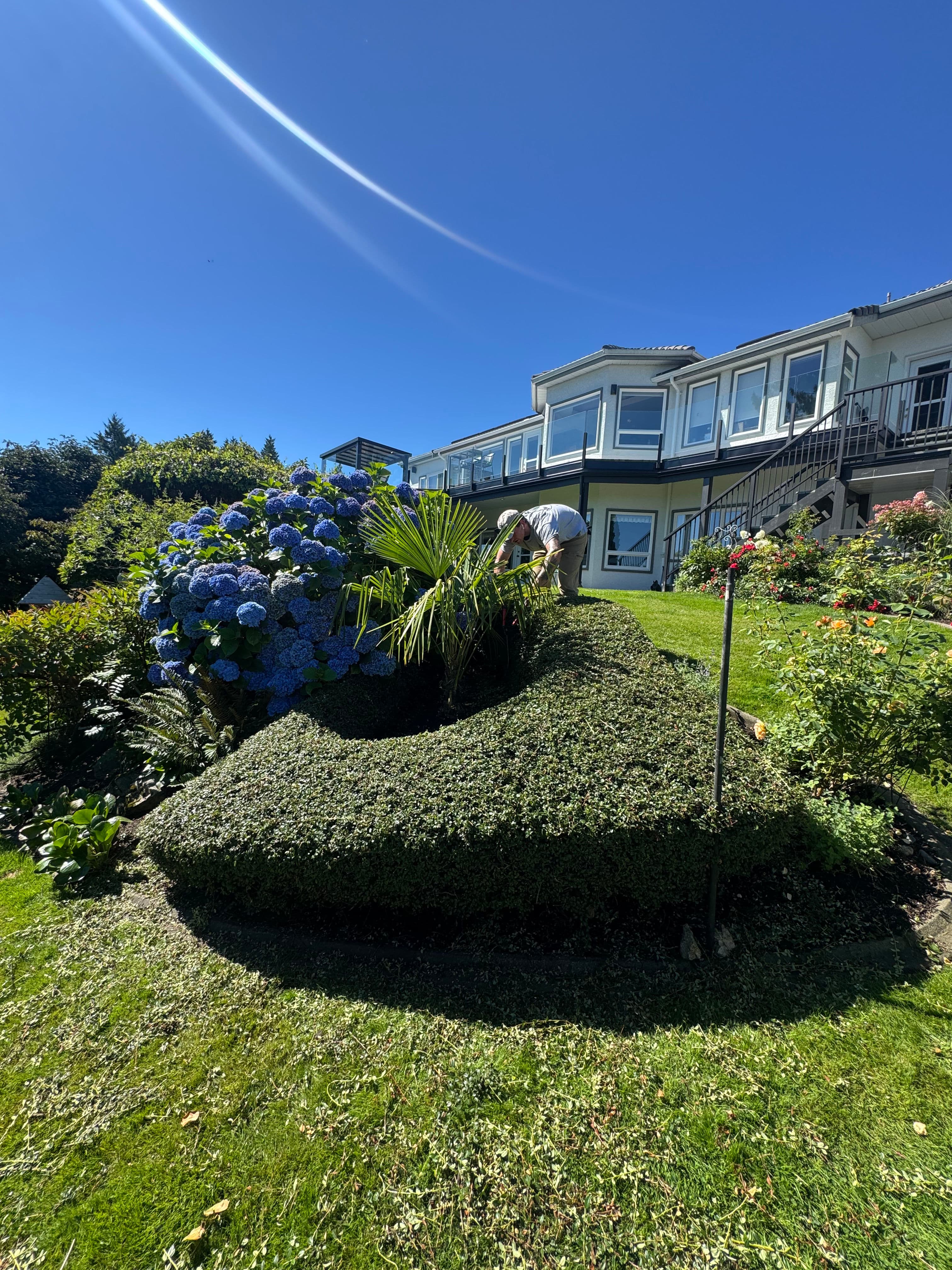 Project Sharp Shrub Trimming That Makes the Whole Yard Pop image