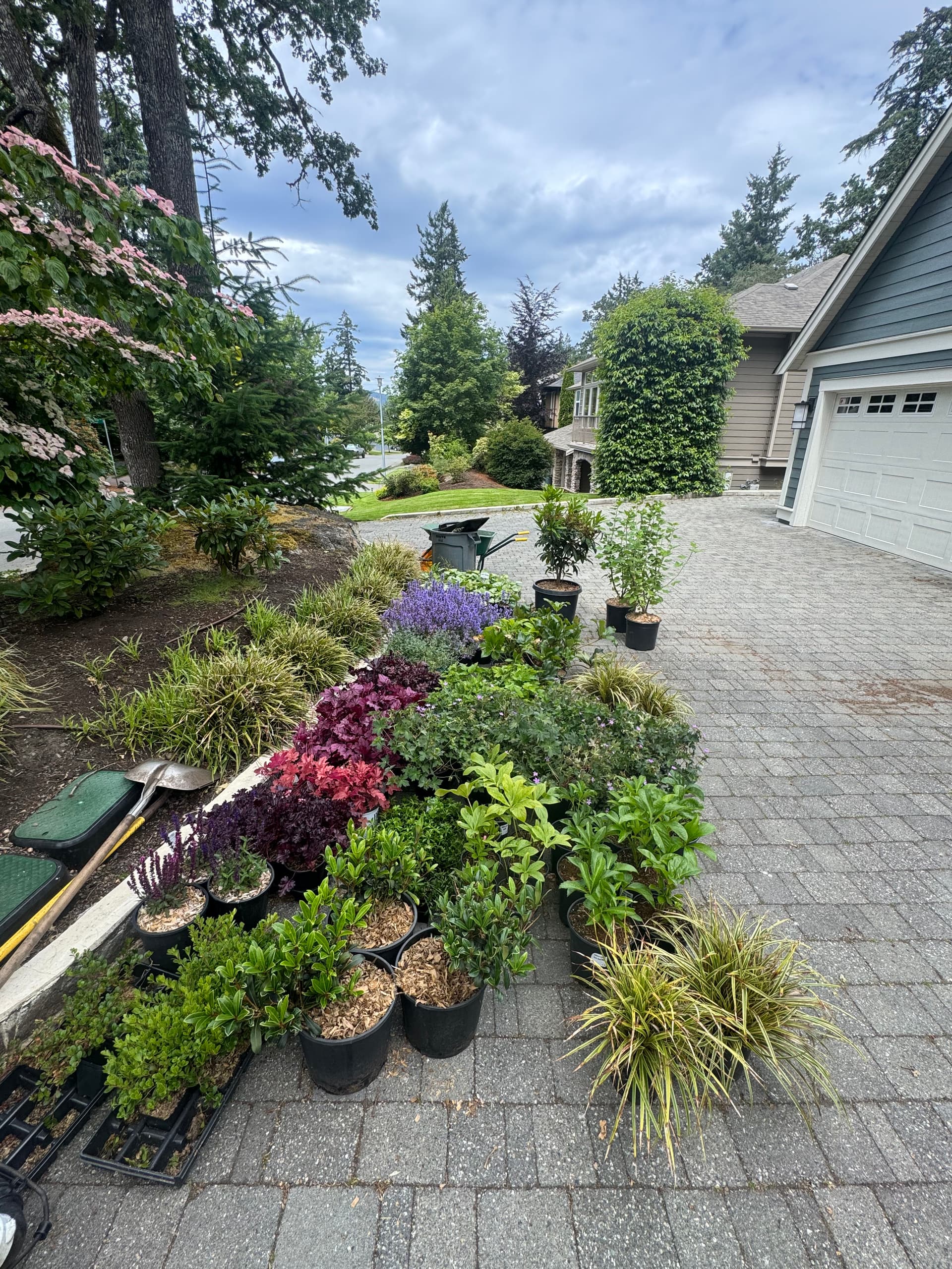 Fresh Plant Installs That Give Your Yard a Finished Look image