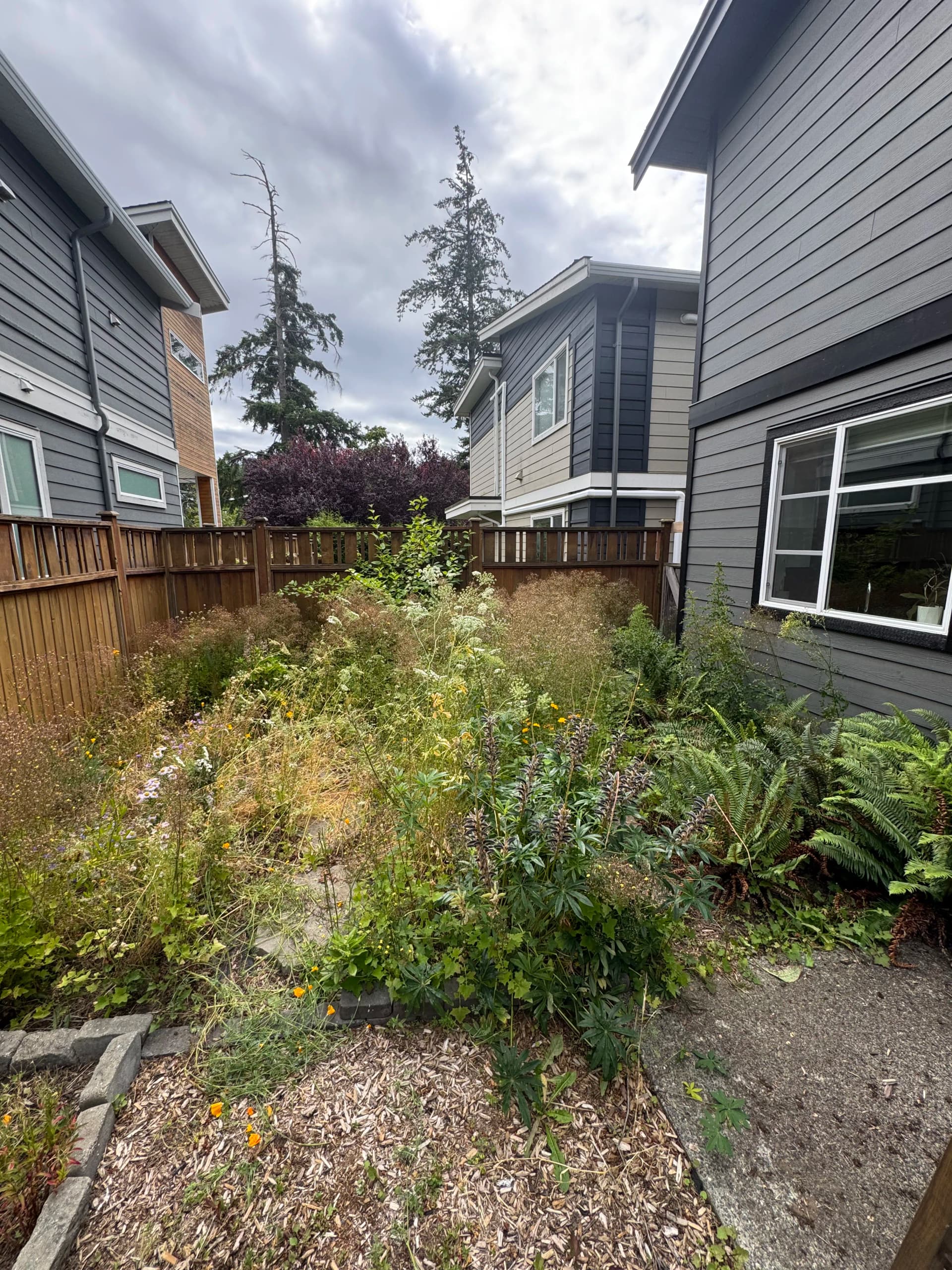 Overgrown Backyard Cleaned Out and Built Fresh in One Day