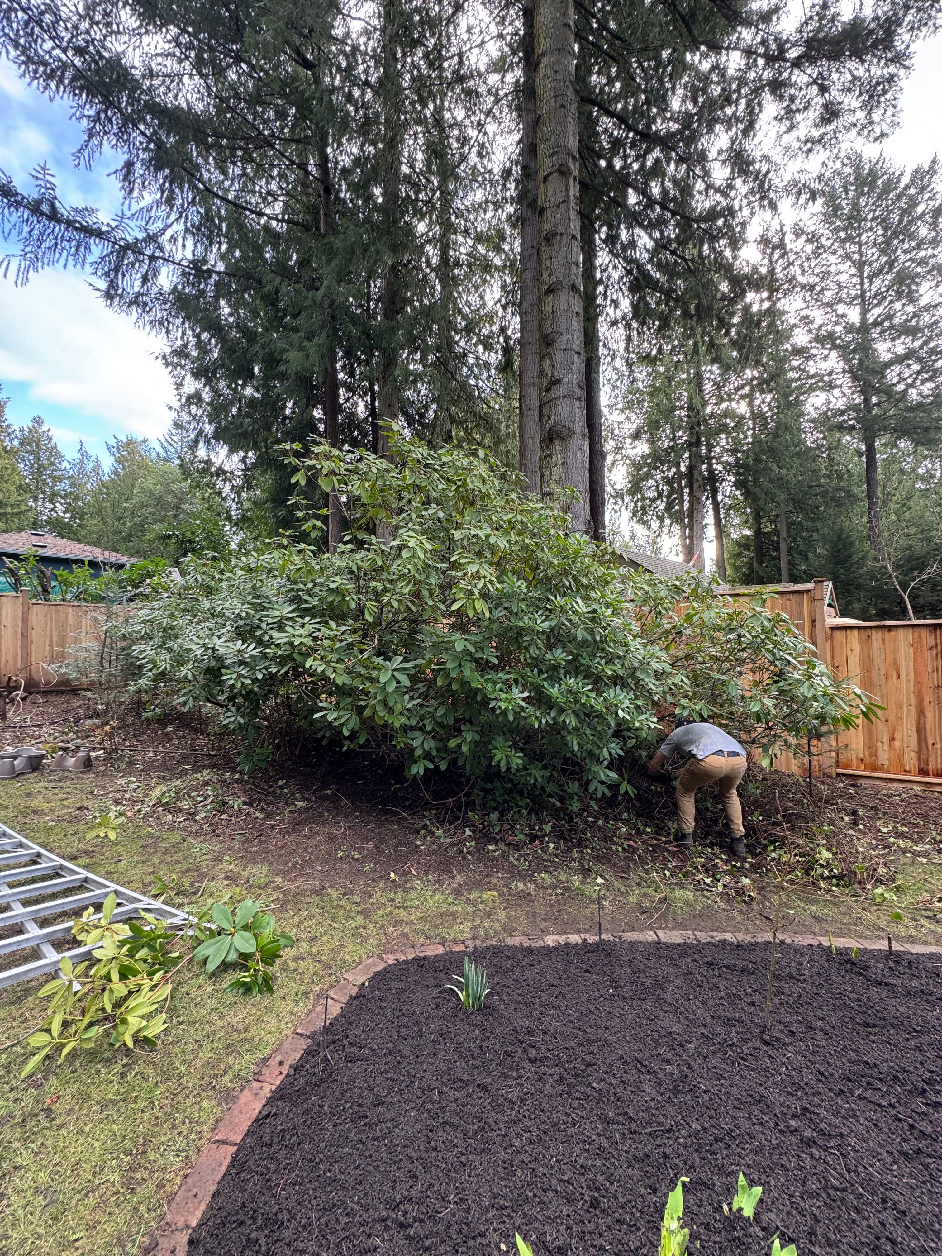 Project Pruning Expertise in Action image