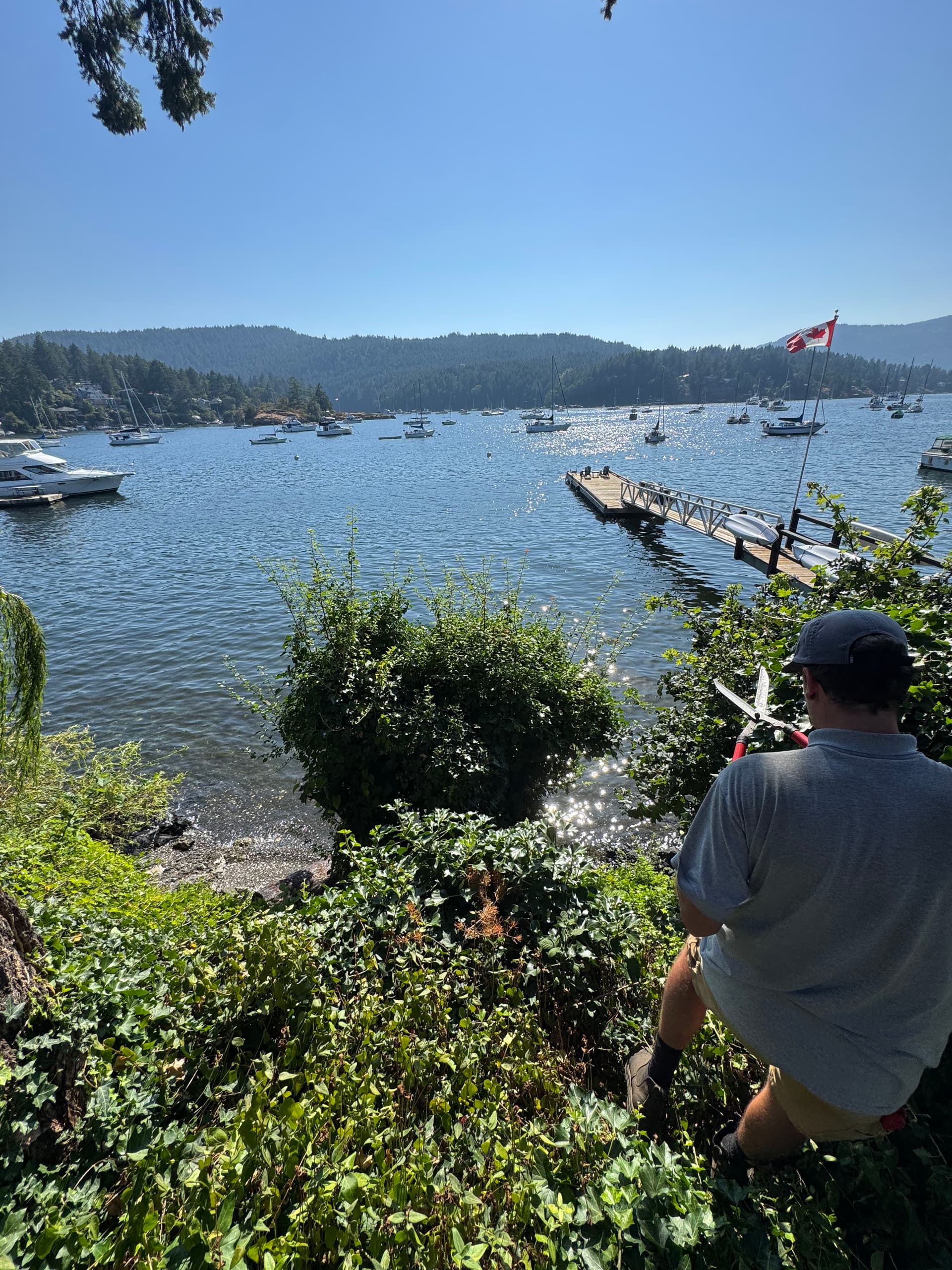 Hedge Trimming With a Waterfront View