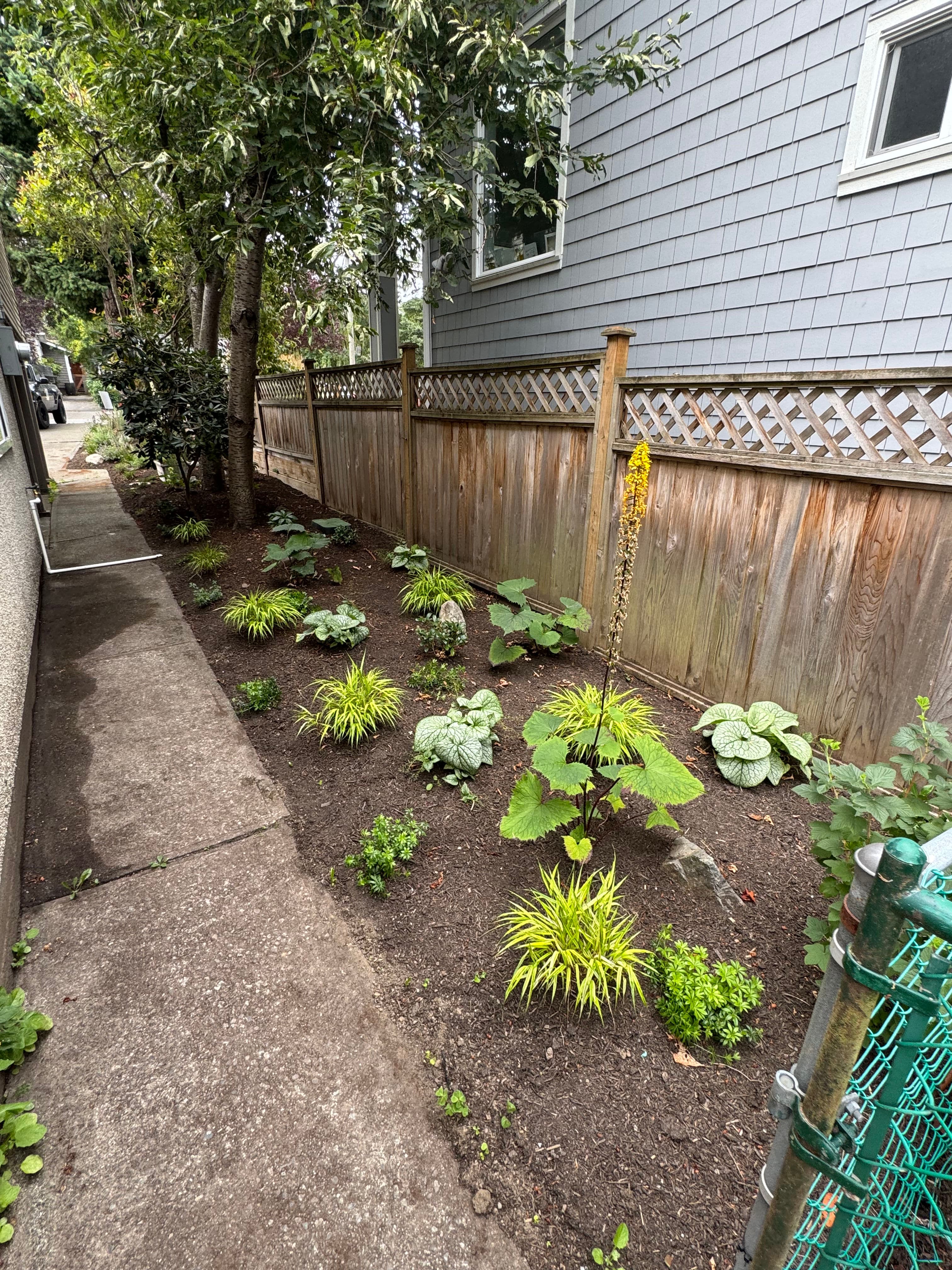 Project A Garden That Grows With You - Phase by Phase image