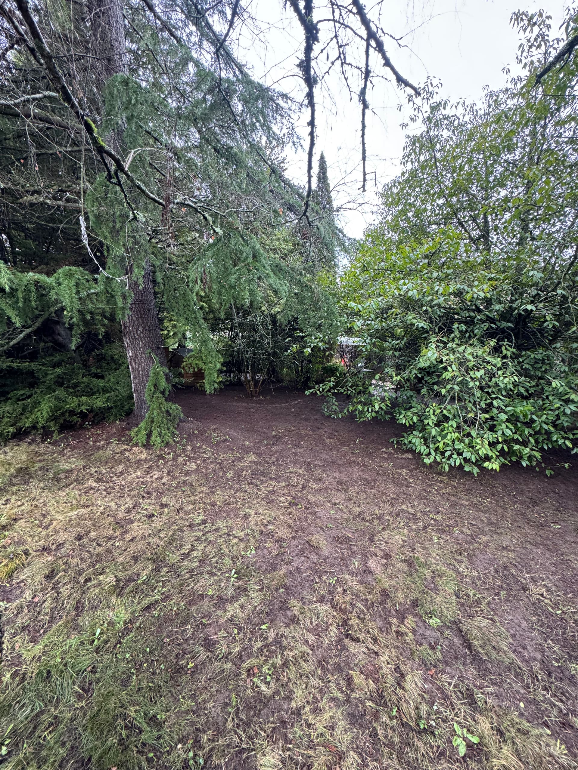 Transform Your Outdoor Space with Expert Landscape Cleanup