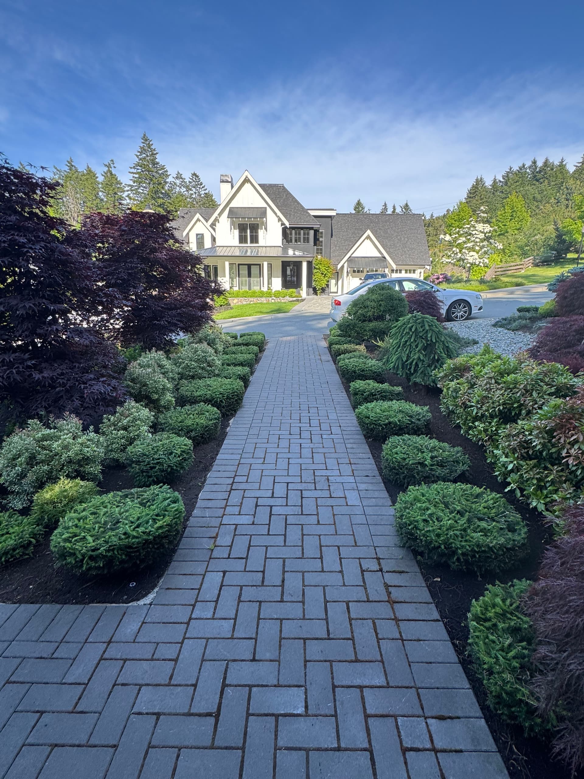 Gallery photos for Why Regular Conifer Trimming Keeps Your Yard Looking Sharp: Image #1