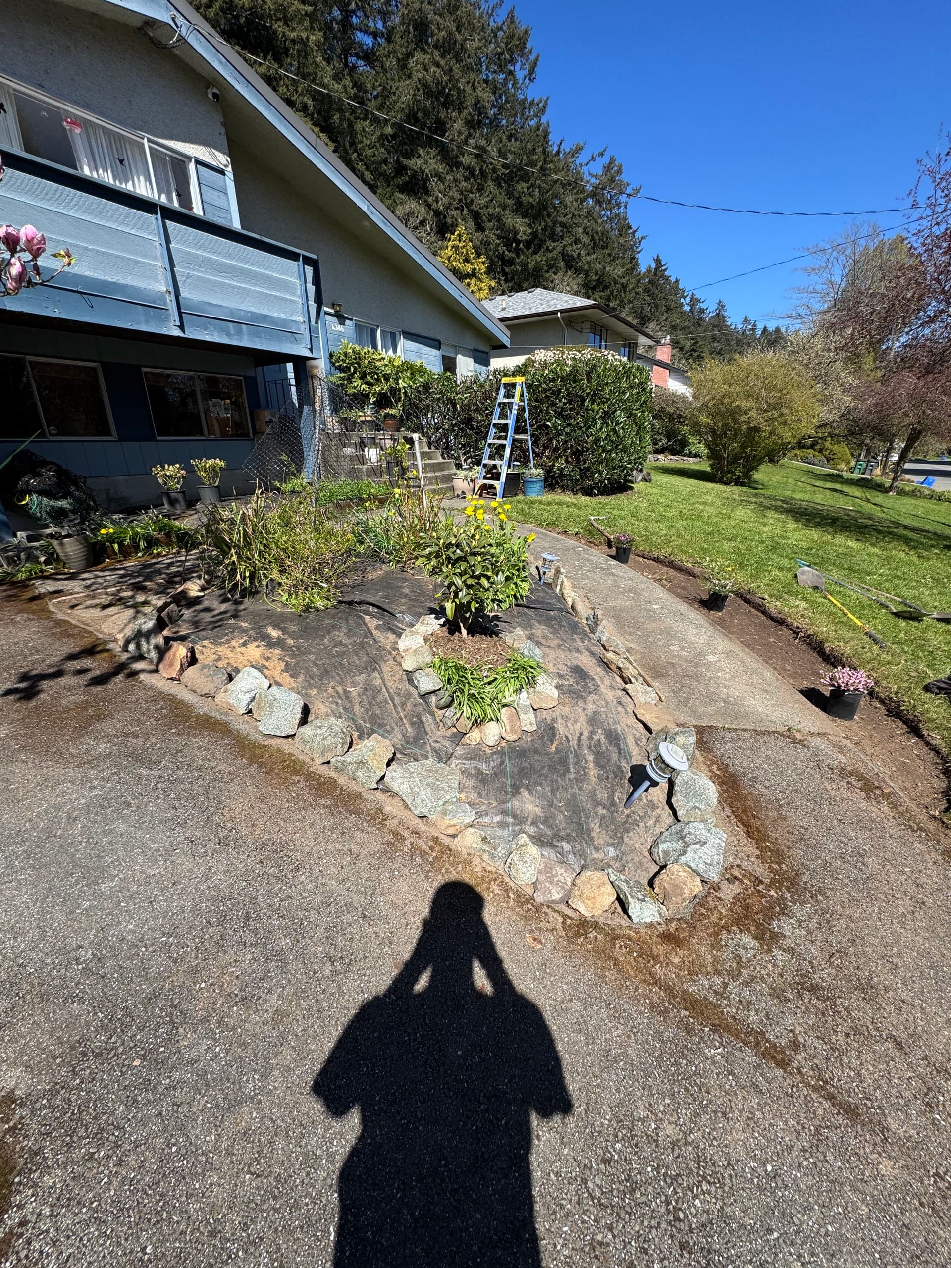 Gallery photos for Fresh Mulch and Rock Border Cleanup for a Welcoming Front Garden: Image #1