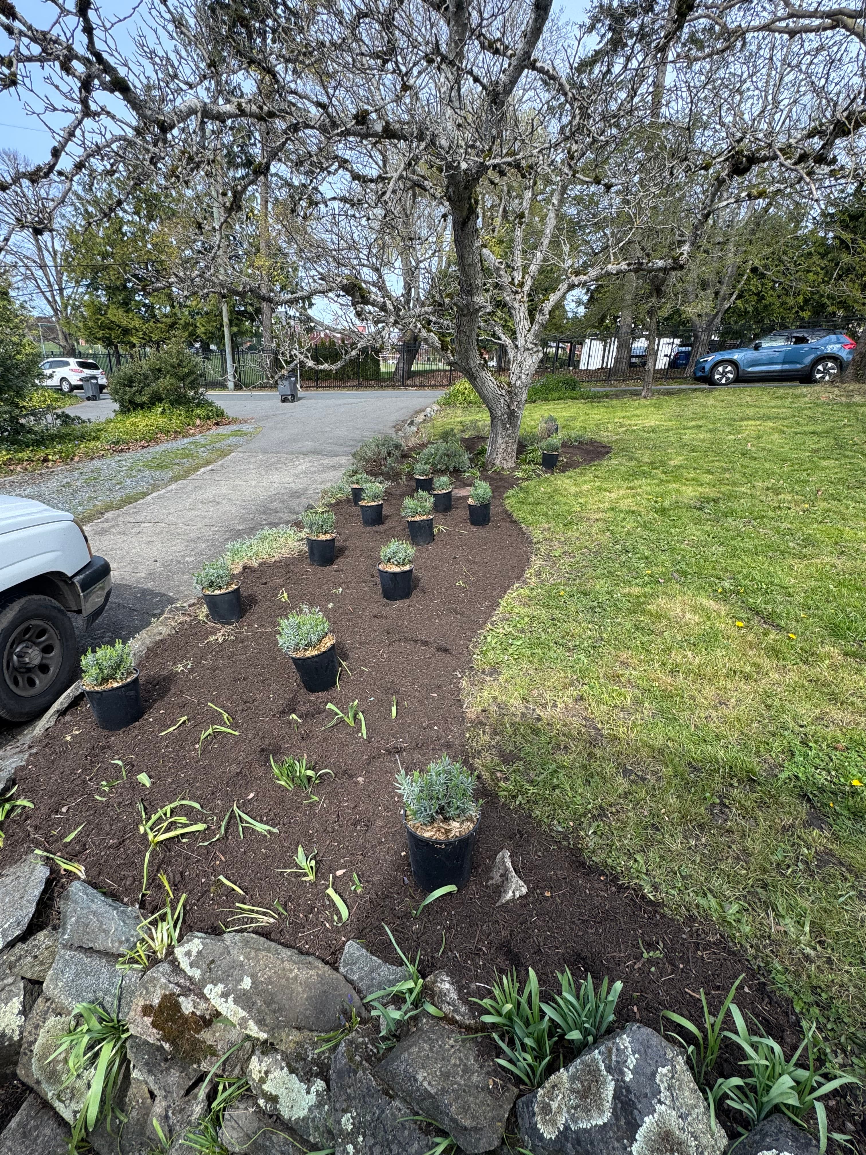 Project Planting Season Is Here and We're Ready to Grow image