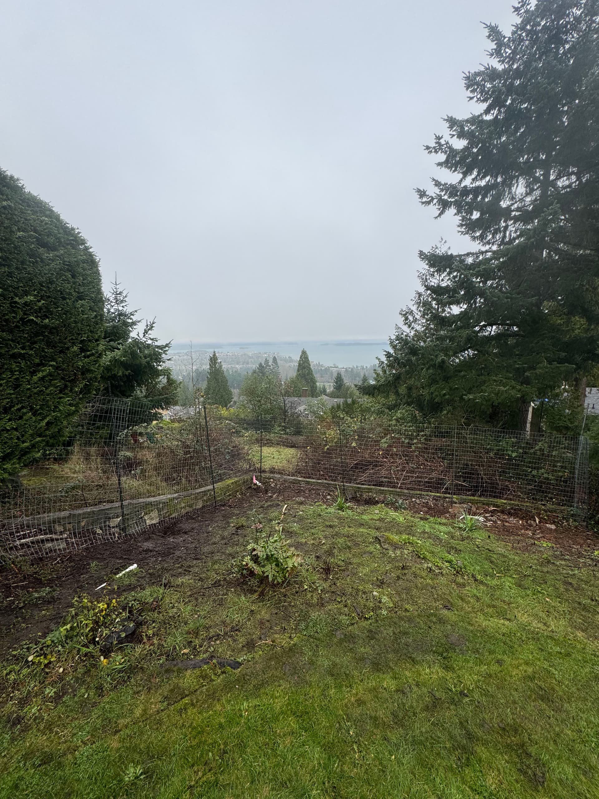 Deer Fence Installation for Garden Protection