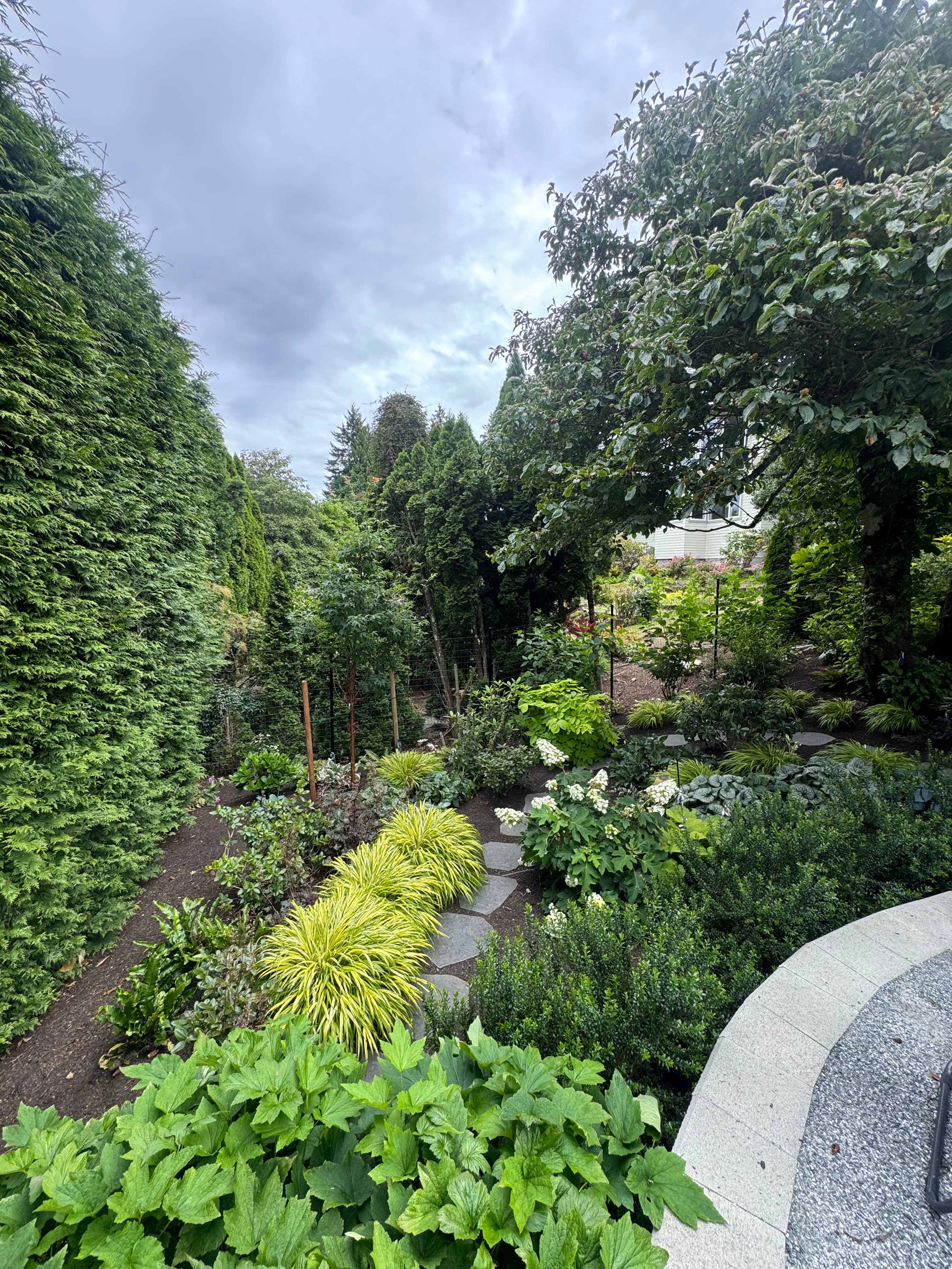 Project When a Garden Gets Better Every Single Year image