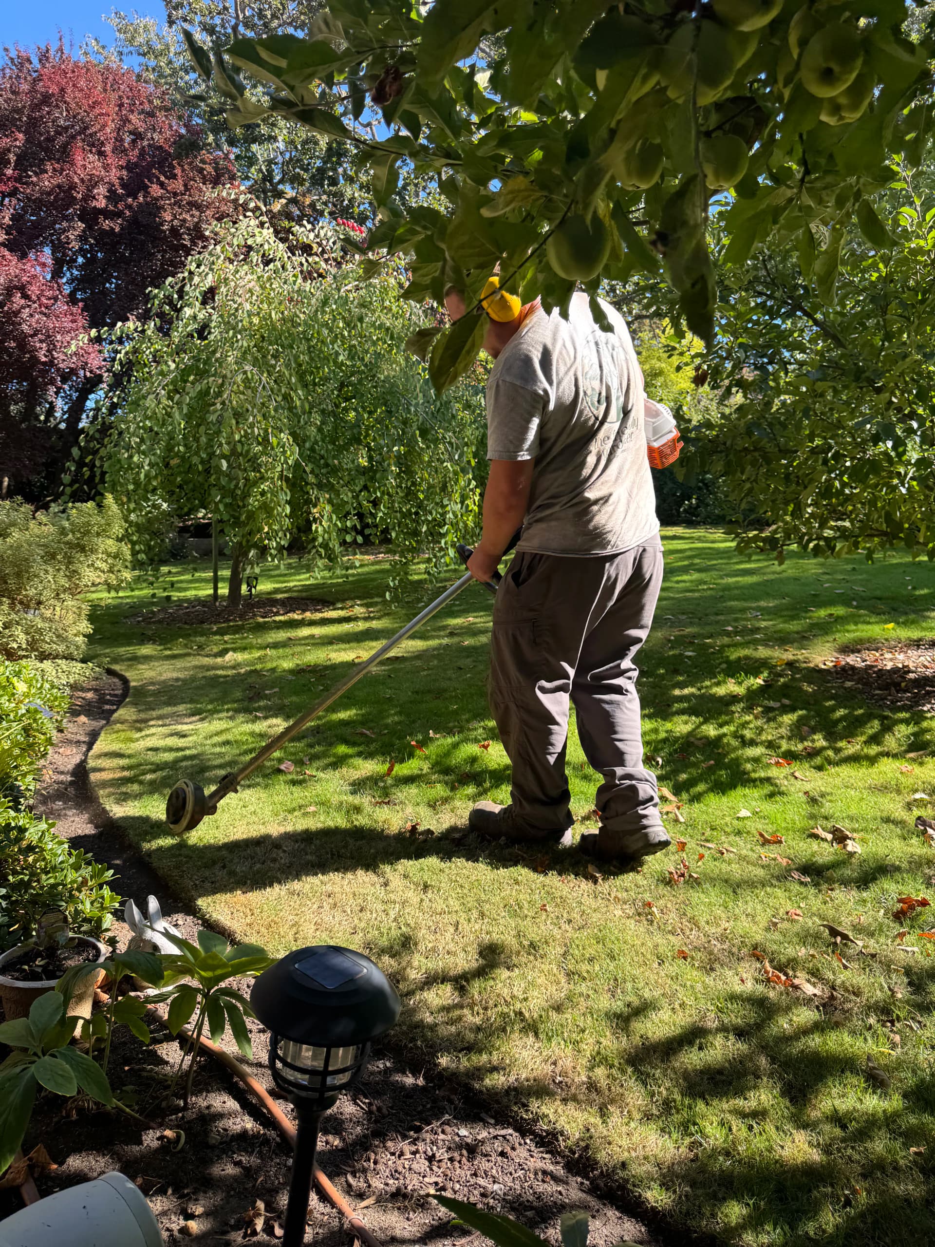 Clean Edges and Sharp Lawn Lines That Make a Yard Look Right image