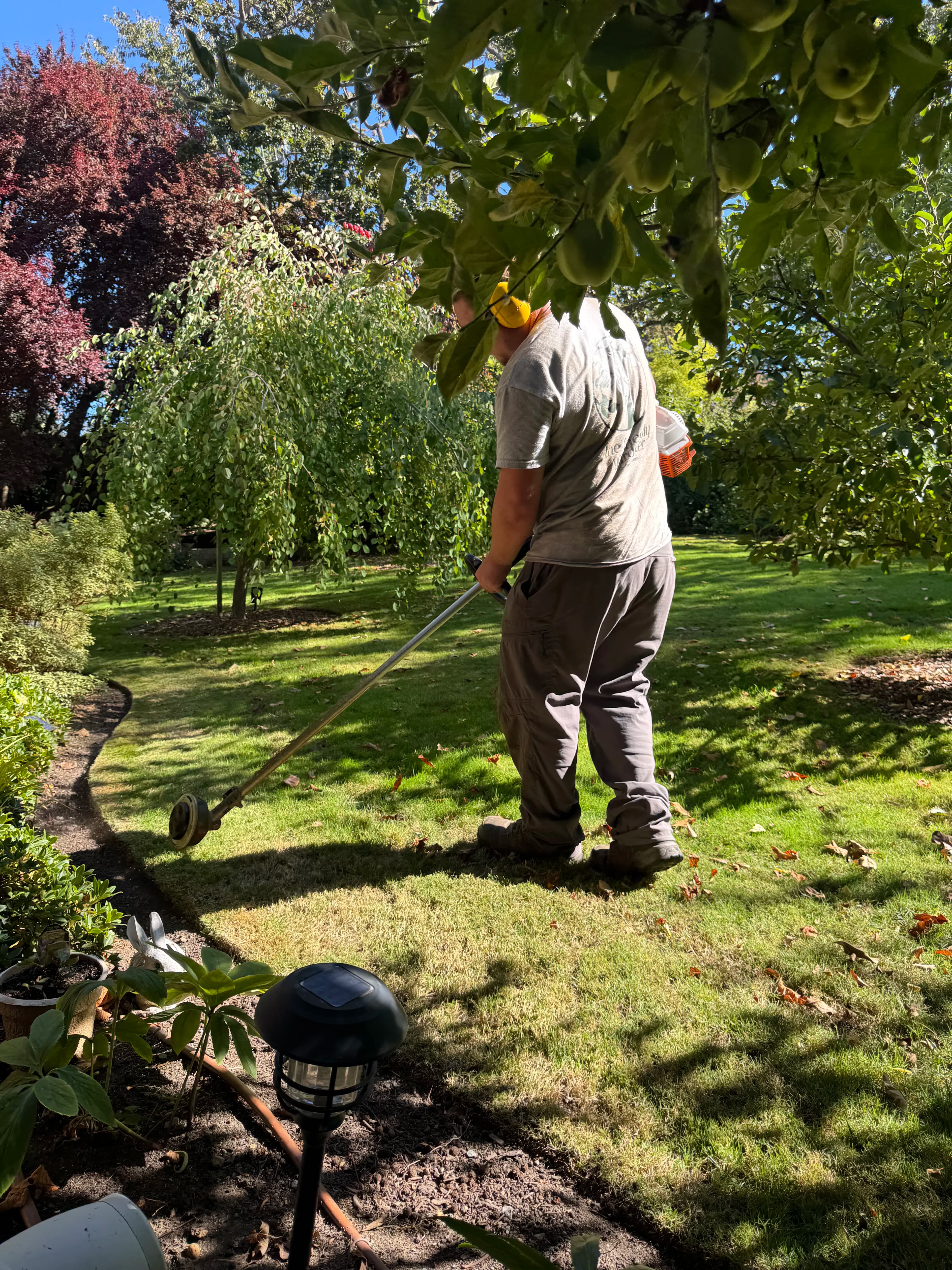Project Clean Edges and Sharp Lawn Lines That Make a Yard Look Right image