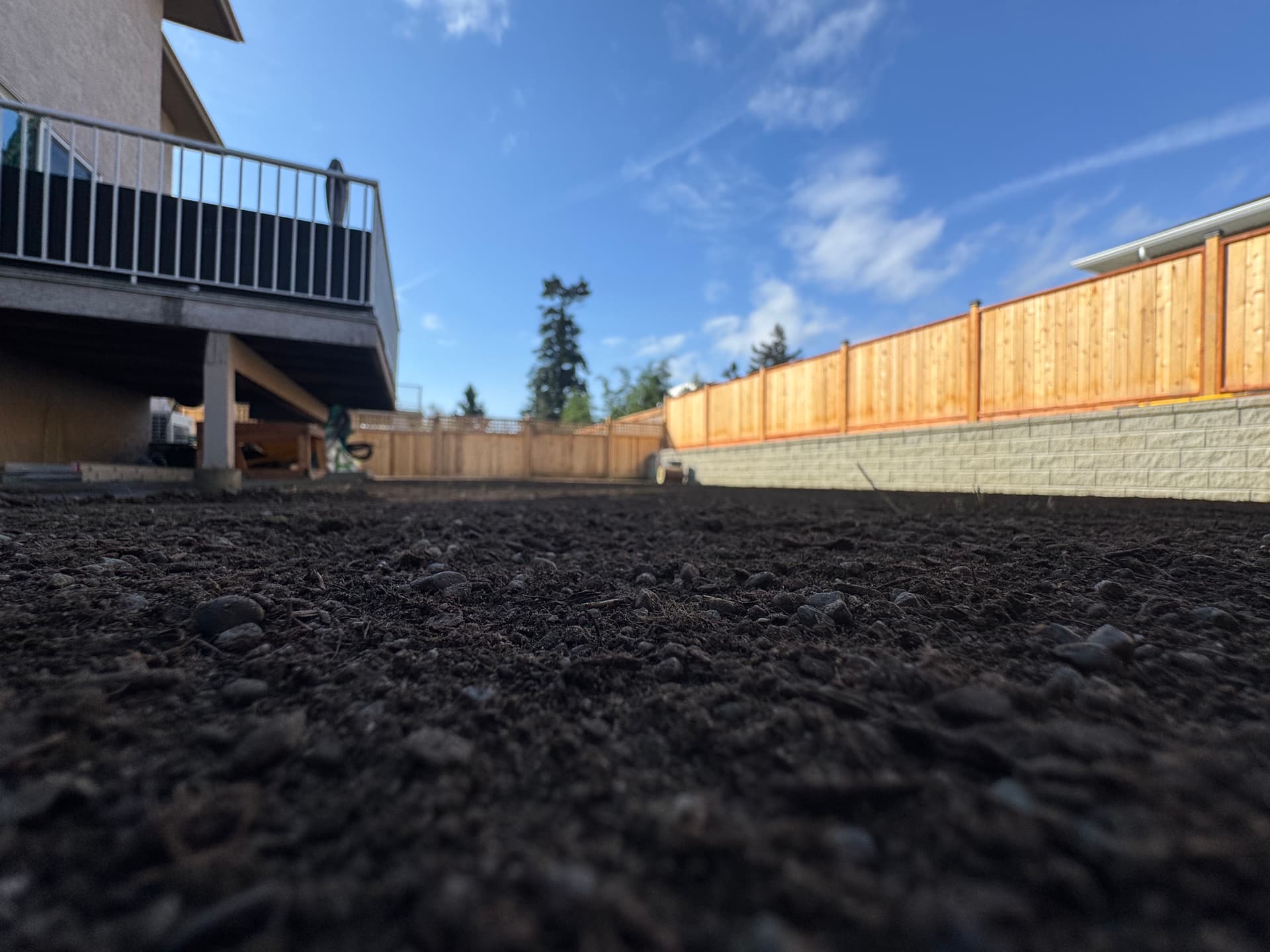 Gallery photos for Bare Dirt Backyard Gets a Full Soil and Sod Overhaul: Image #3
