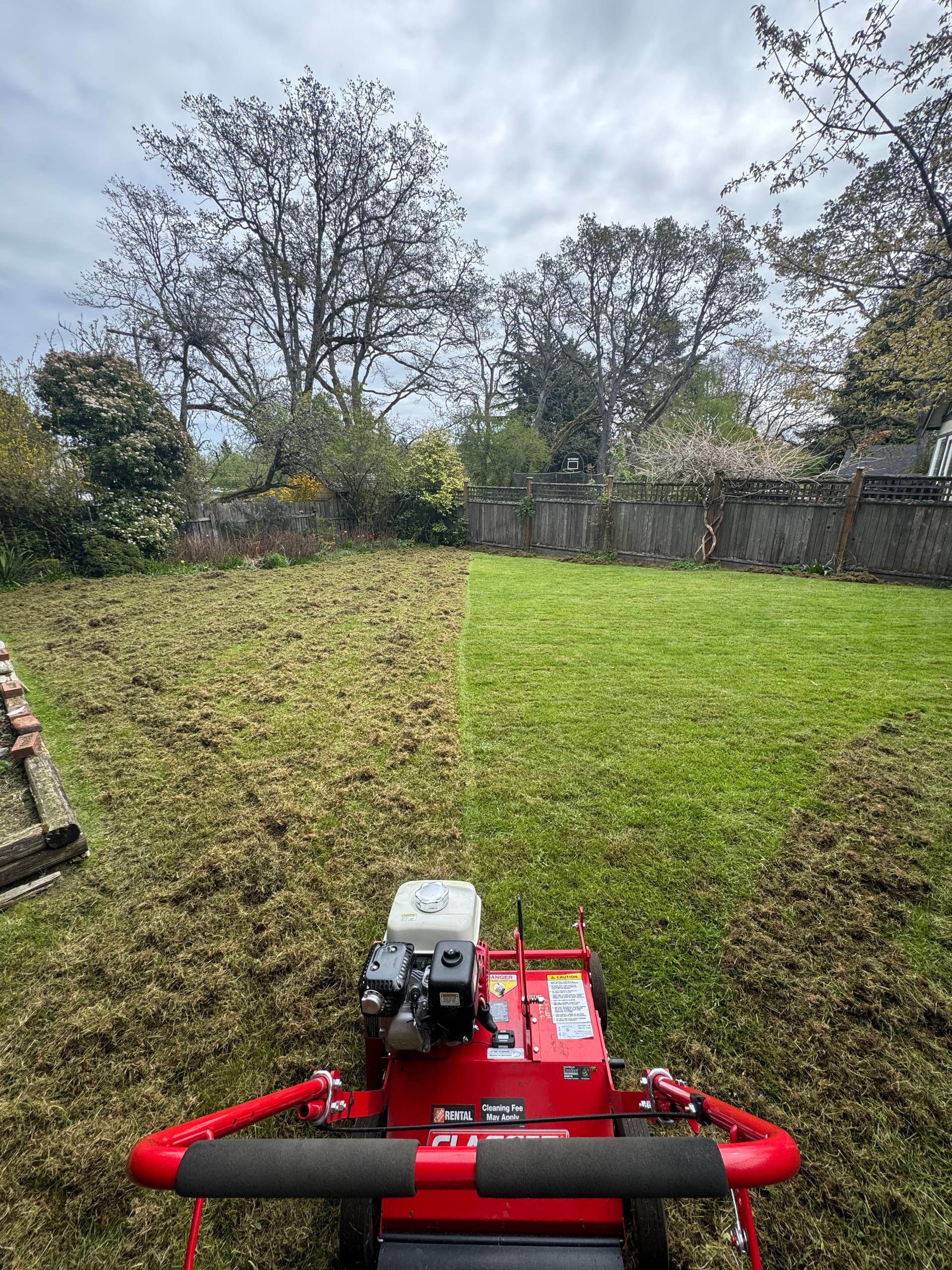 How We Bring a Struggling Lawn Back to Life image