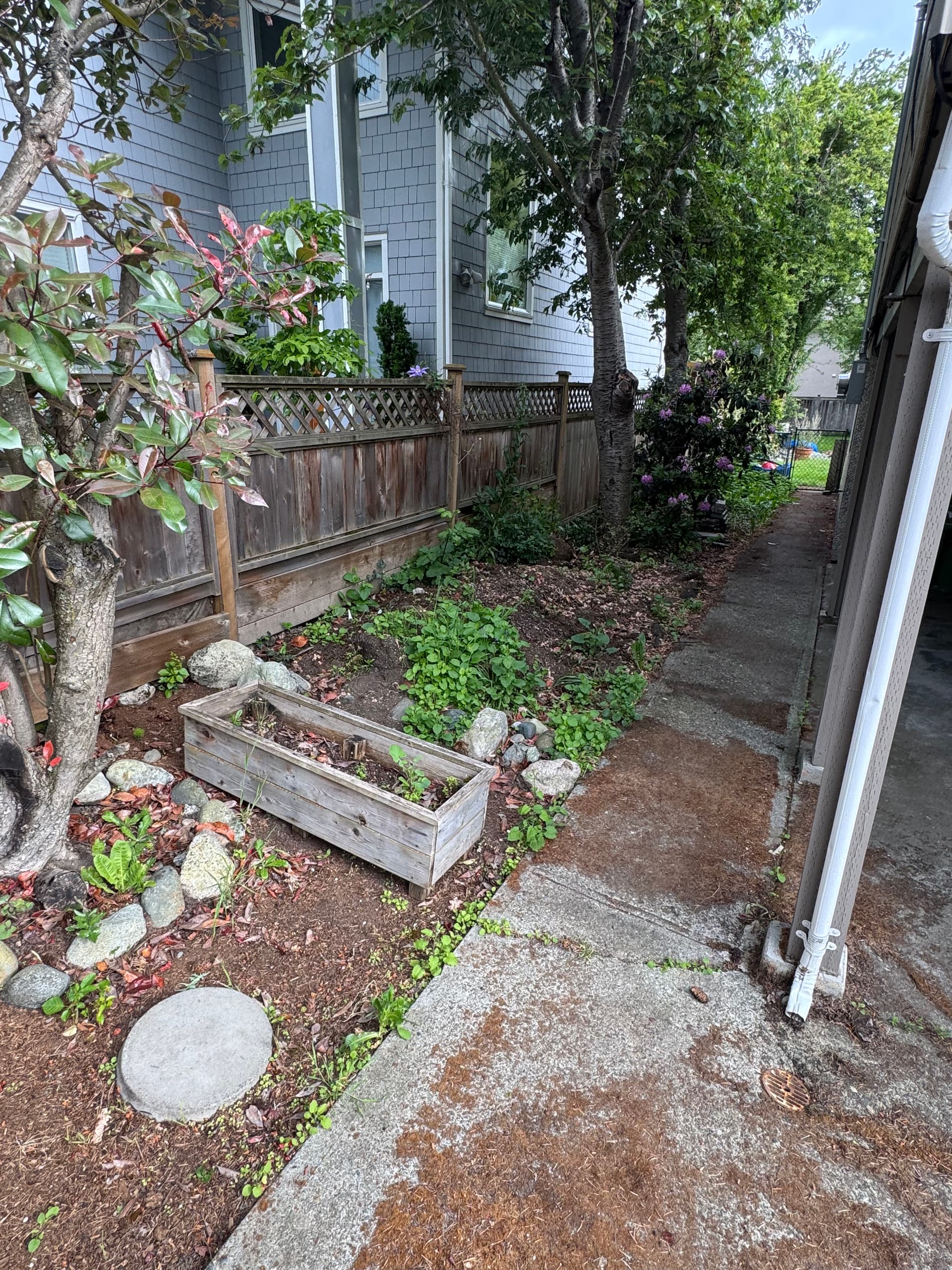Turning a Forgotten Side Yard Into a Garden Worth Noticing