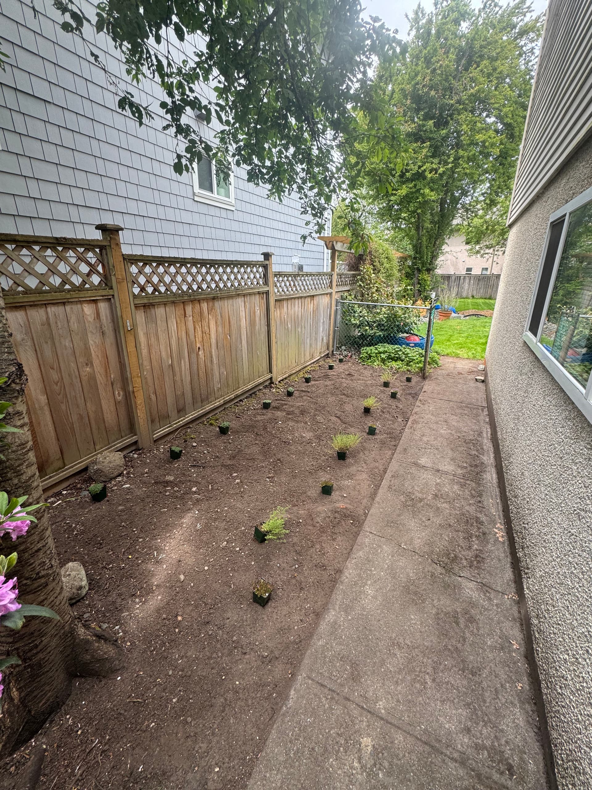 Shade Garden Install That Actually Works in a Tricky Narrow Space