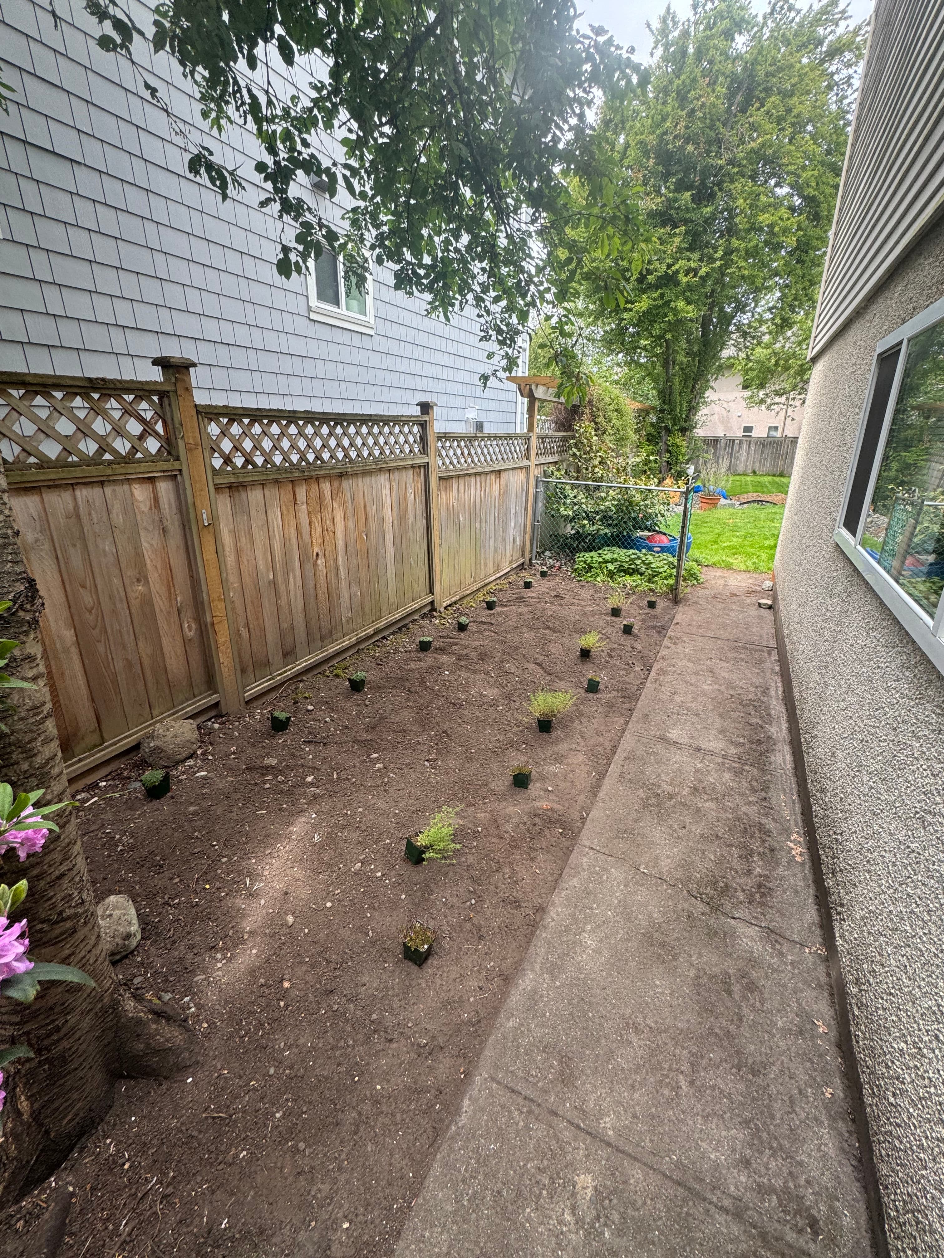 Project Shade Garden Install That Actually Works in a Tricky Narrow Space image