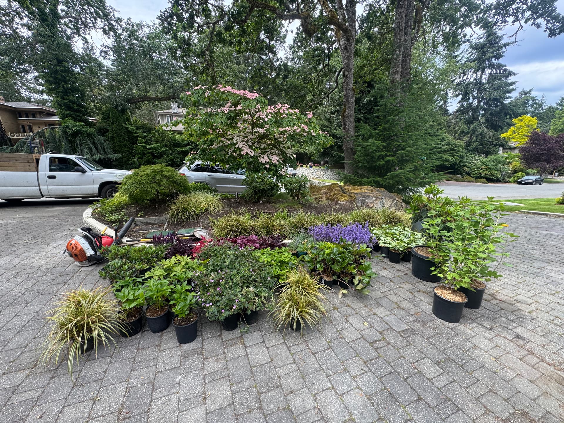 Gallery photos for Fresh Plant Installs That Give Your Yard a Finished Look: Image #1
