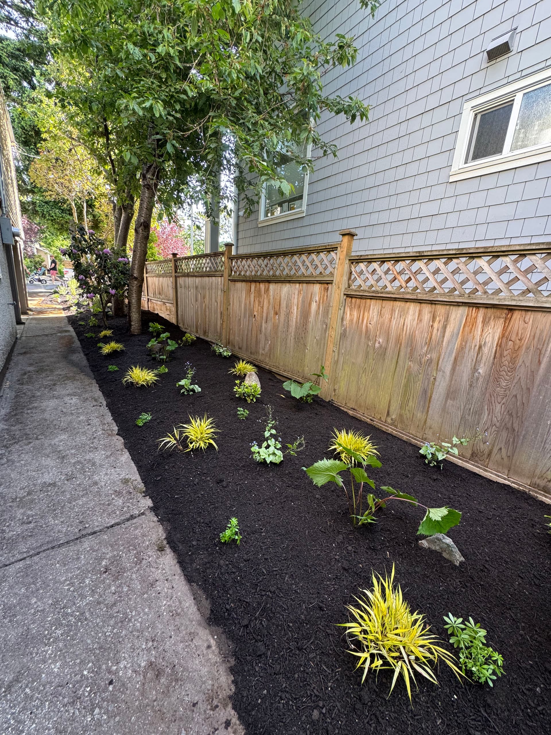 Gallery photos for Shade Garden Install That Actually Works in a Tricky Narrow Space: Image #2