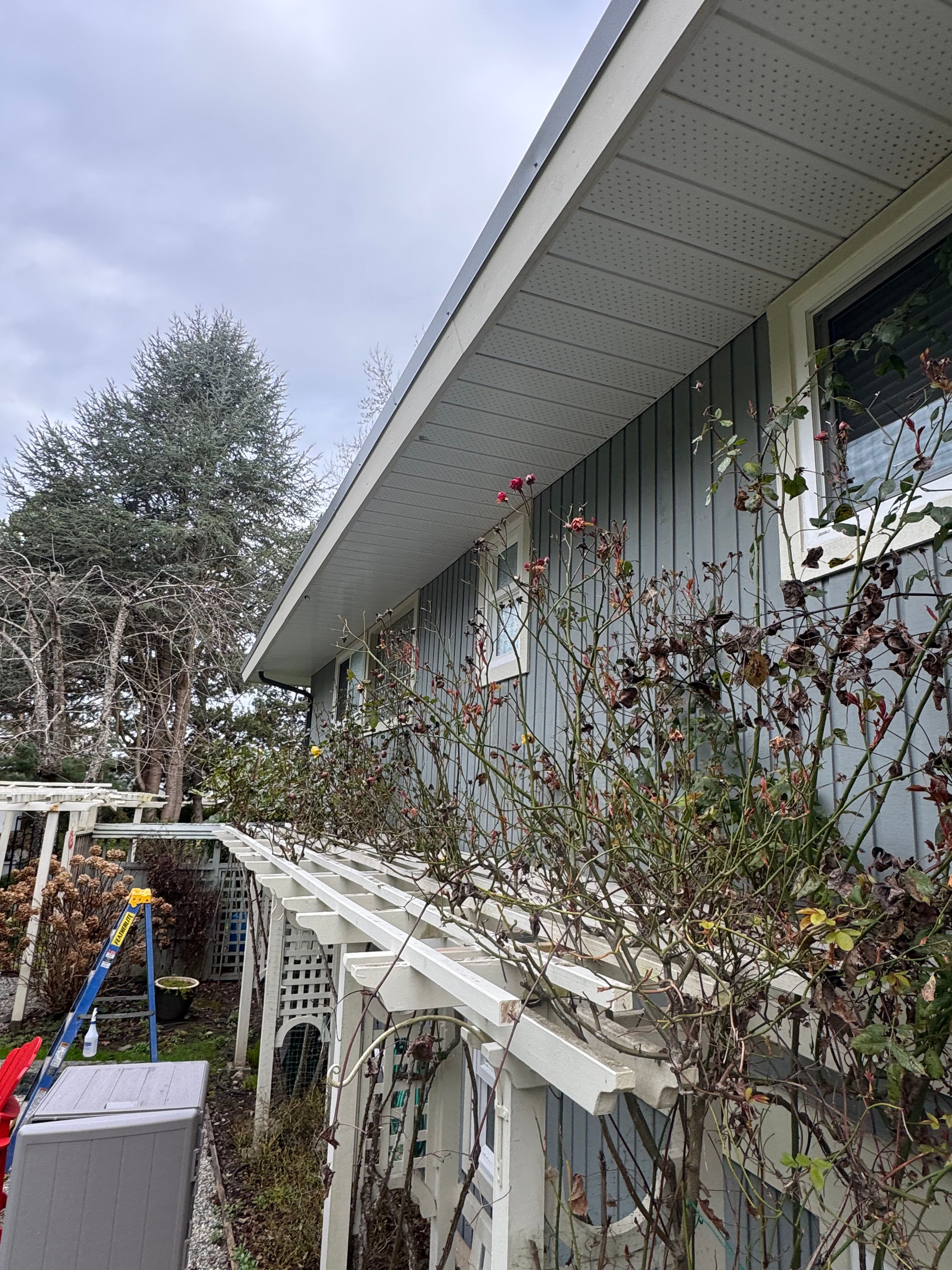 Project Springtime Hedge Pruning Alert from The Friendly Gardener image