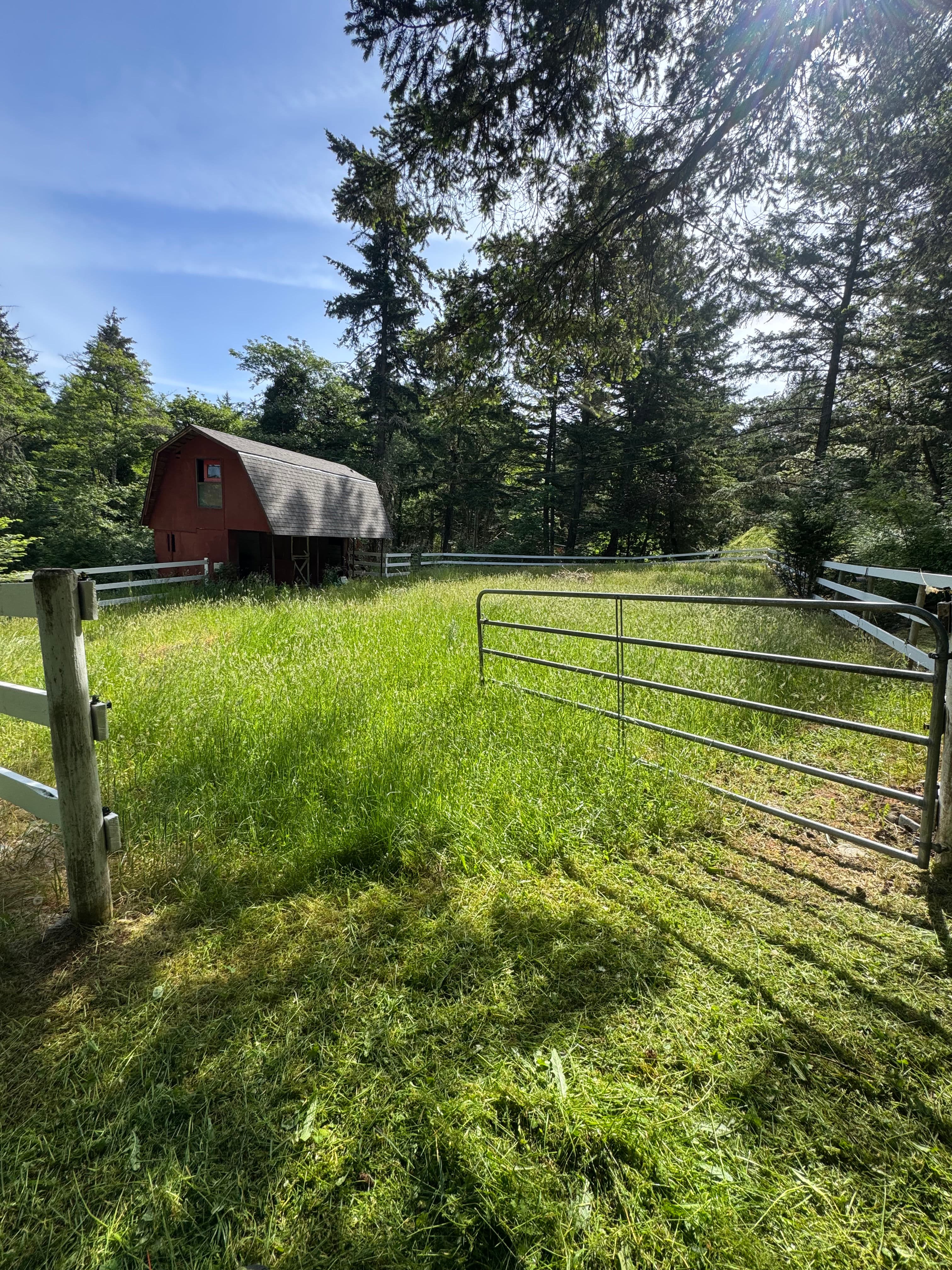 Project Overgrown Fields Are a Fire Risk - Here's What We Do About It image