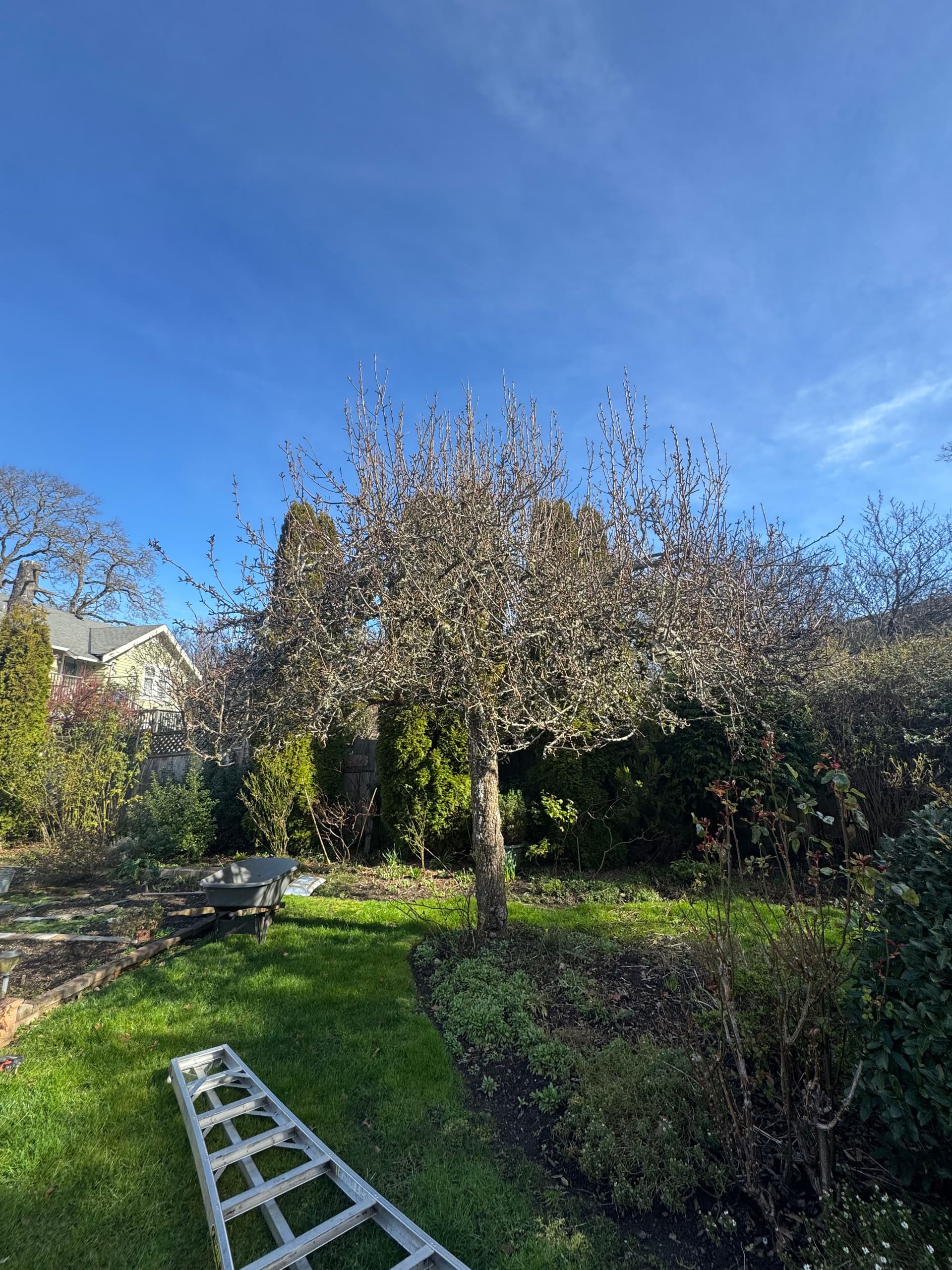 Spring Garden Preparation with The Friendly Gardener image