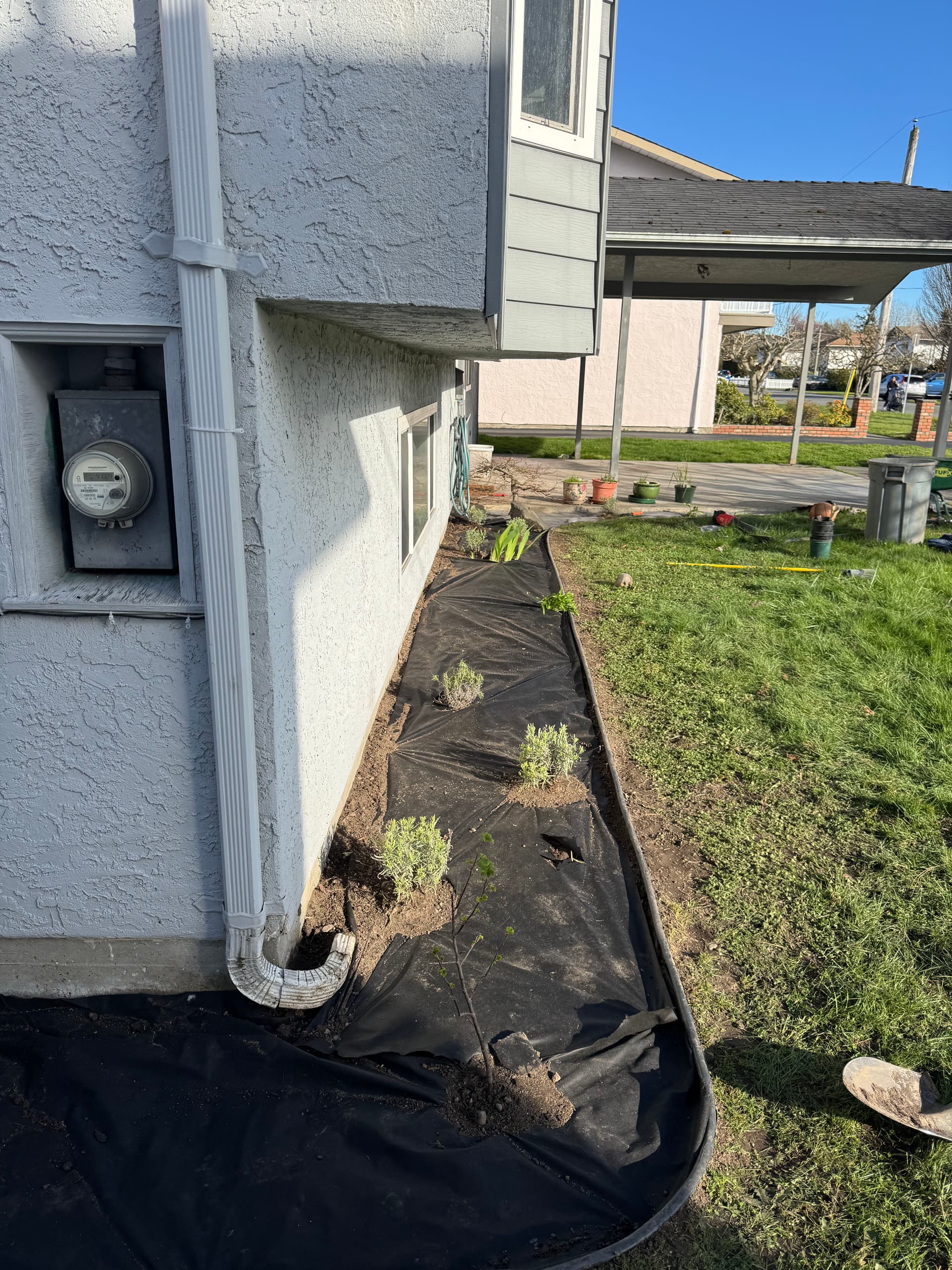 Gallery photos for From Overgrown to Stunning Garden Oasis: Image #2