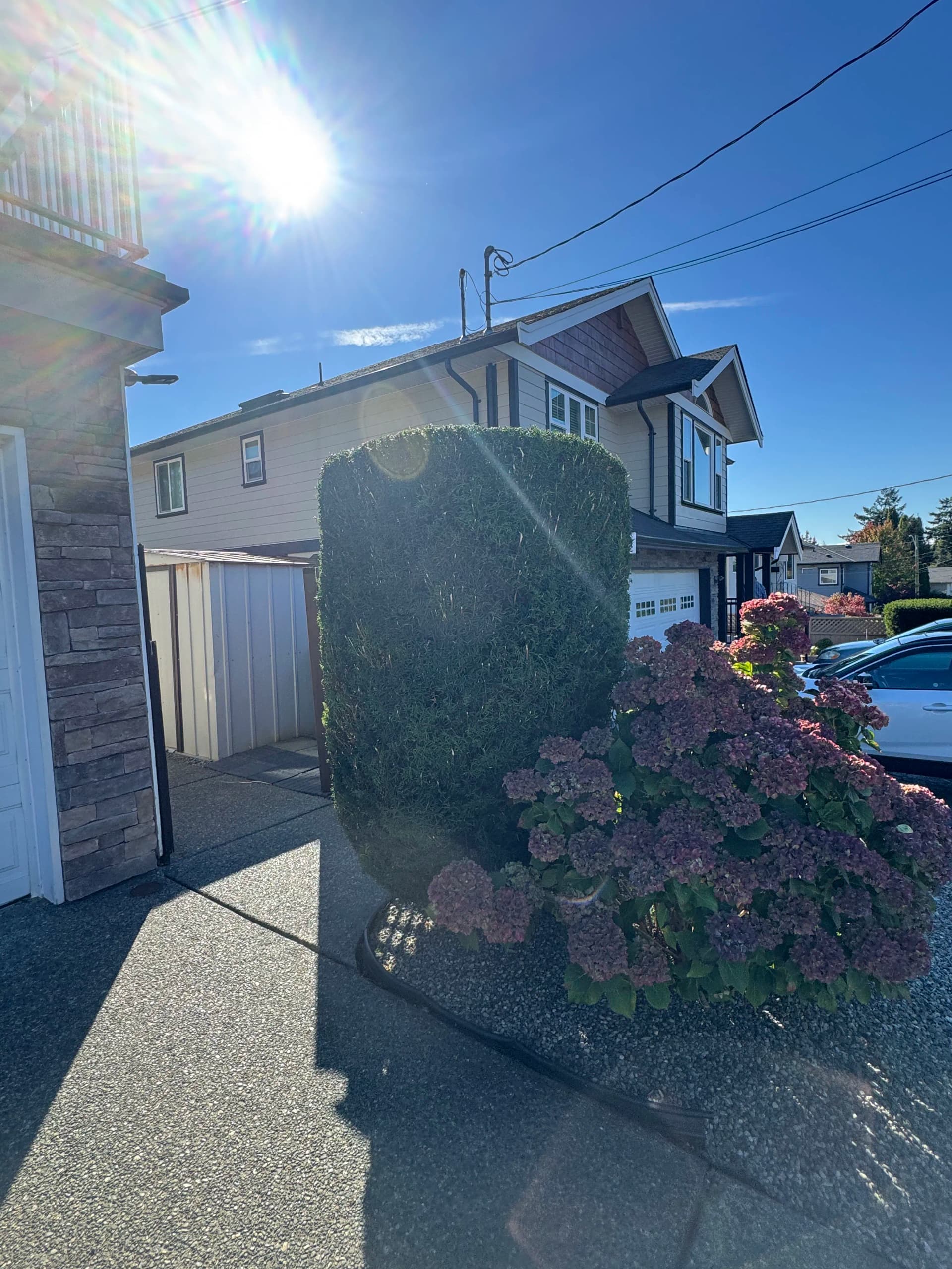 A Clean Hedge Cut That Makes the Whole Front Yard Pop