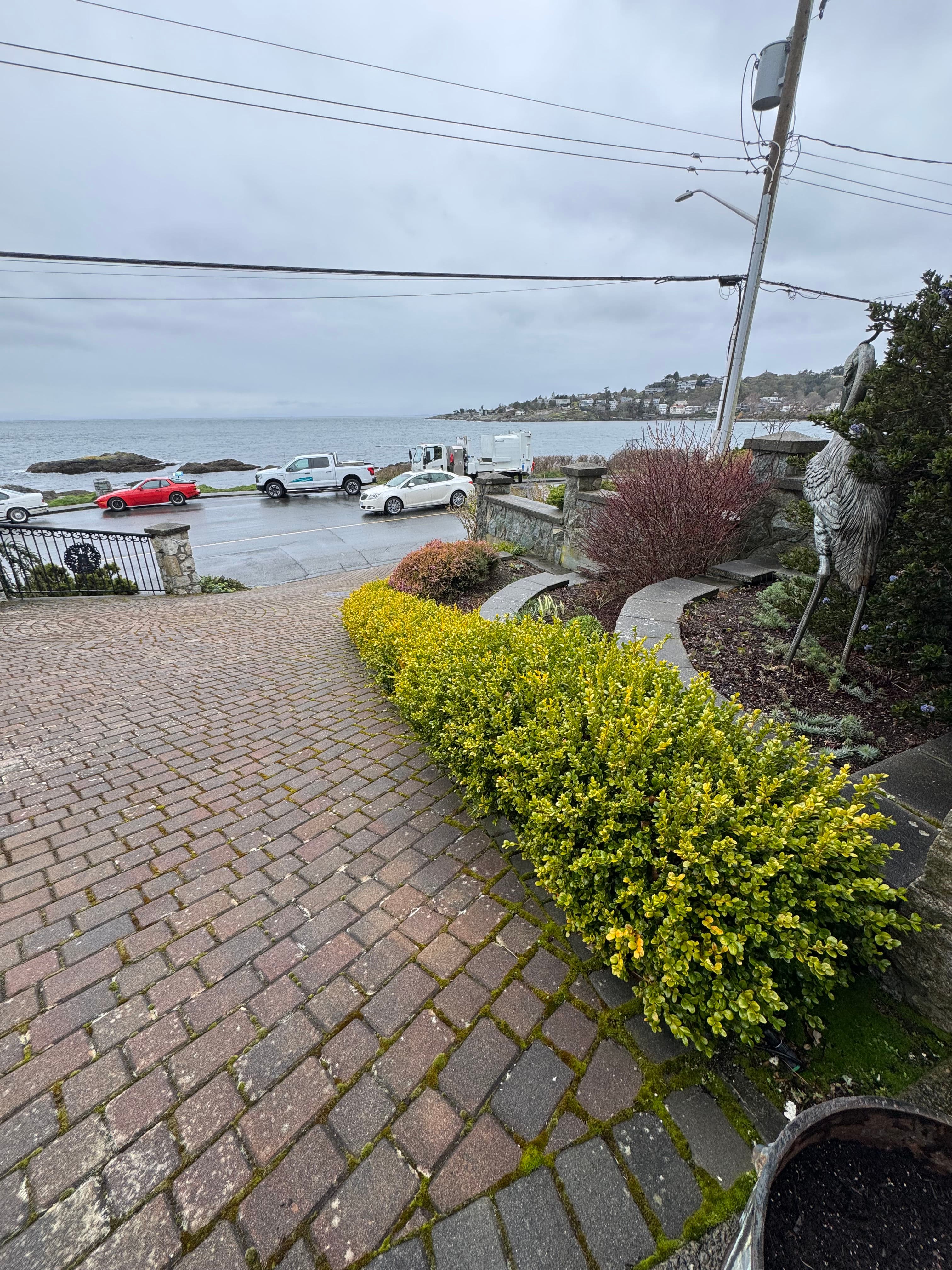 Project Enhancing Ocean Views with Expert Hedge Trimming image