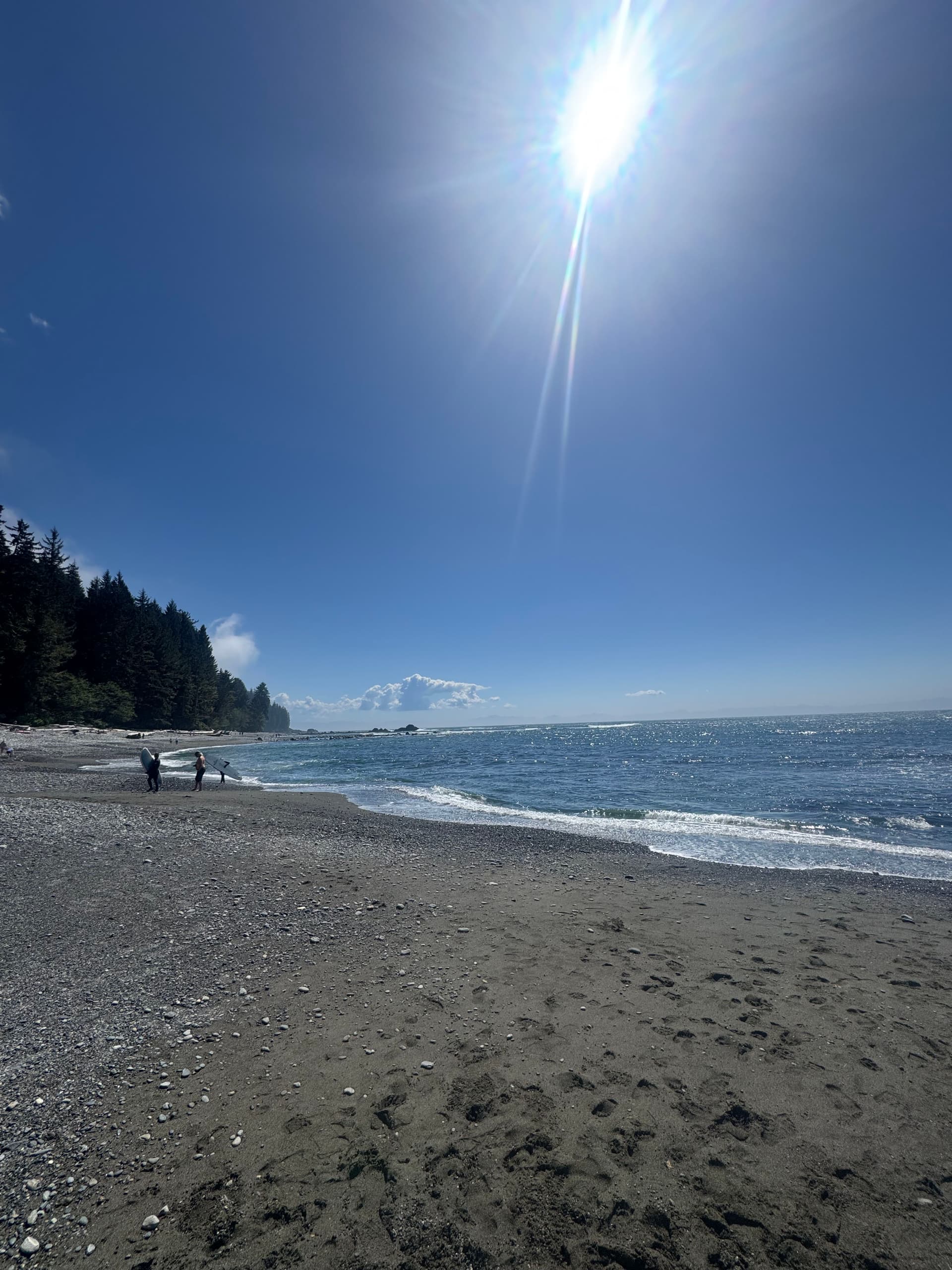 How Nature Shapes the Way We Think About Gardens image